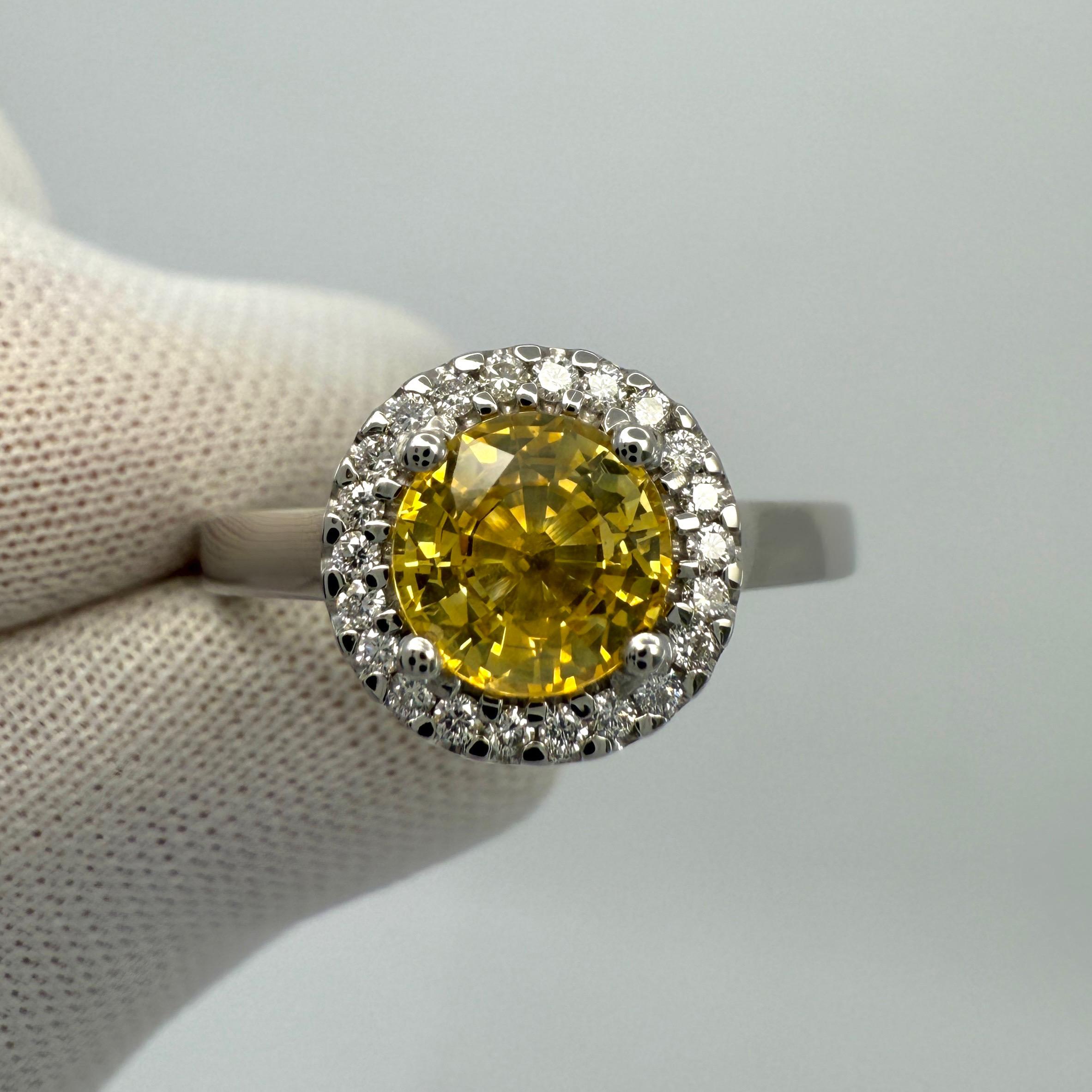 Women's or Men's 1.36ct Vivid Yellow Round Cut Natural Sapphire & Diamond Platinum Halo Ring For Sale
