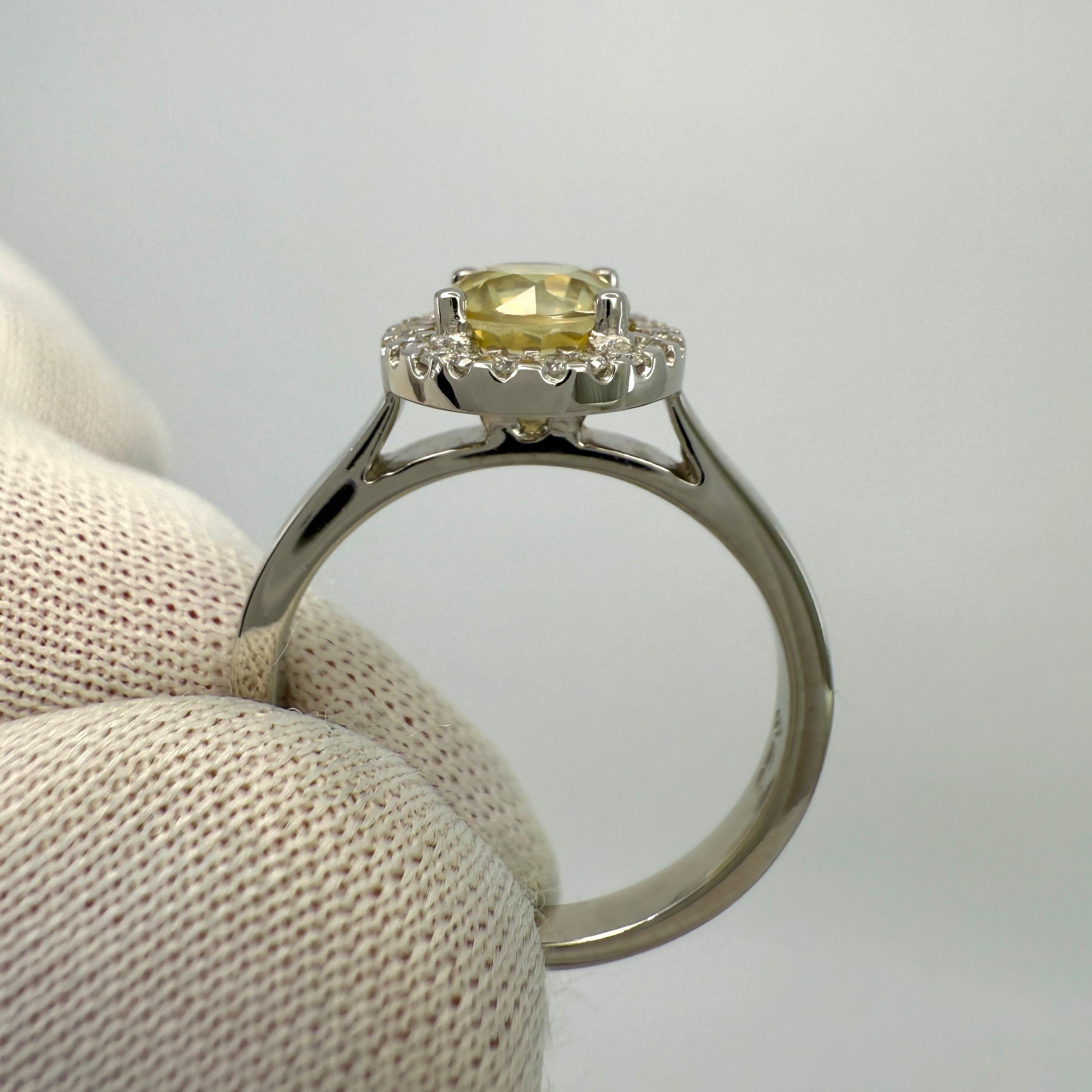 1.36ct Vivid Yellow Round Cut Natural Sapphire & Diamond Platinum Halo Ring For Sale 1