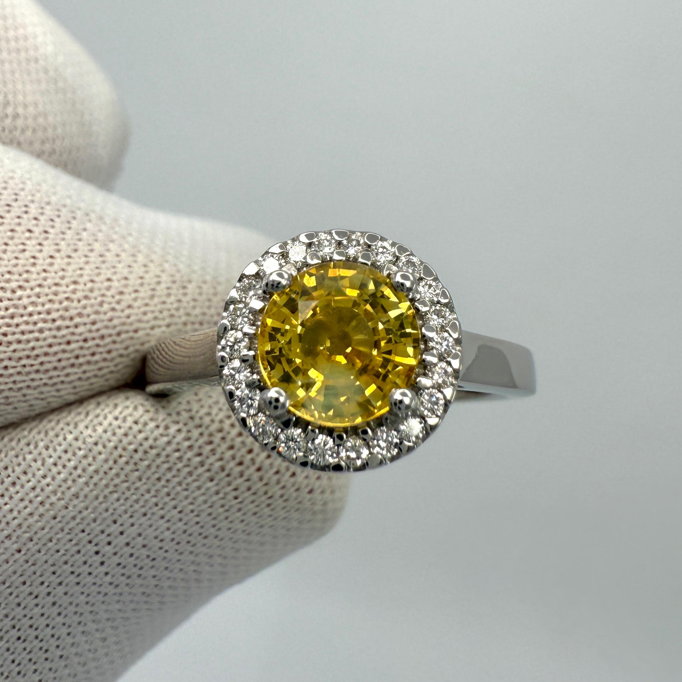 1.36ct Vivid Yellow Round Cut Natural Sapphire & Diamond Platinum Halo Ring For Sale 2