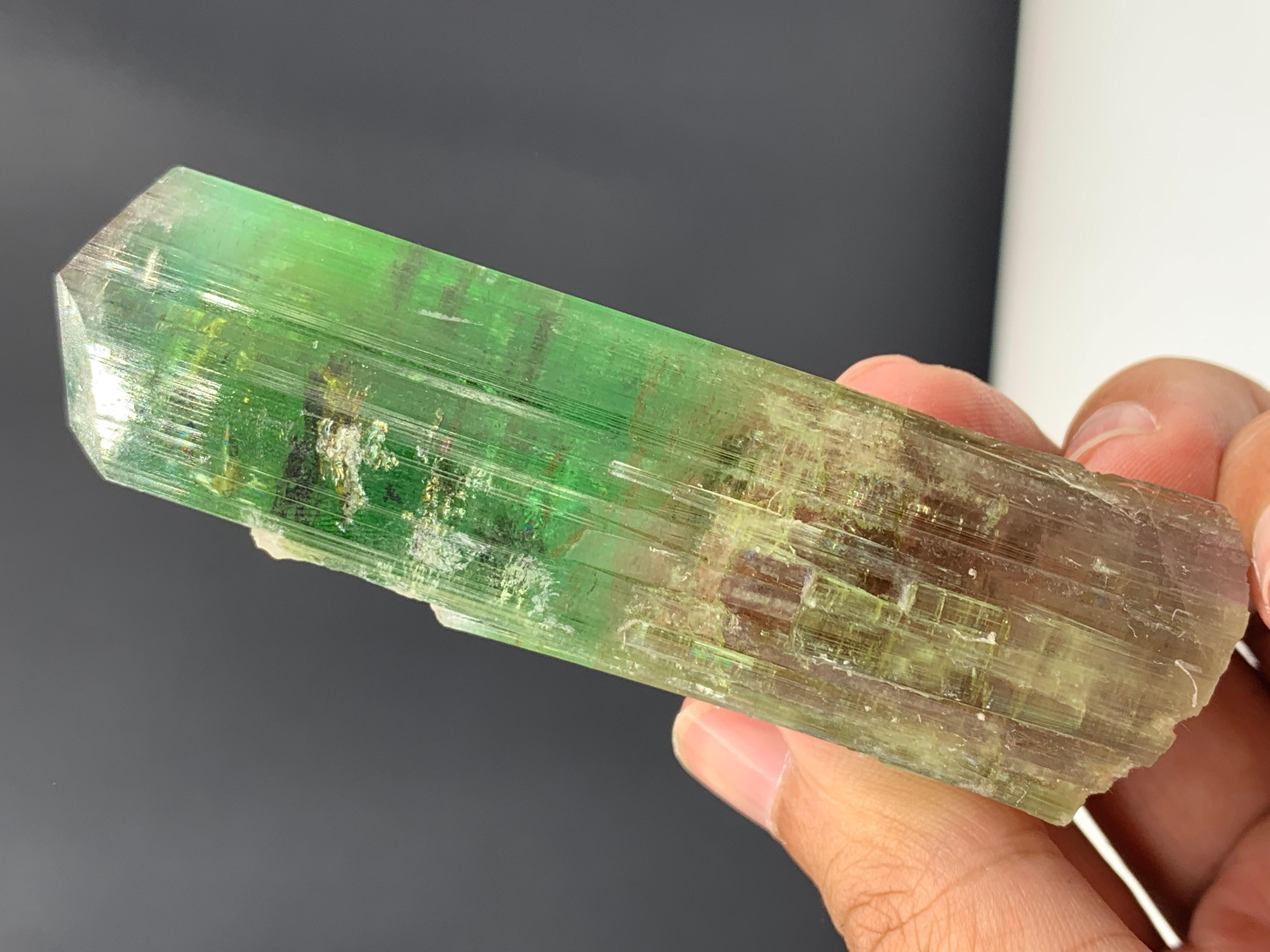 137.10 Gram Lovely Bi Color Tourmaline Crystal From Afghanistan For Sale 3