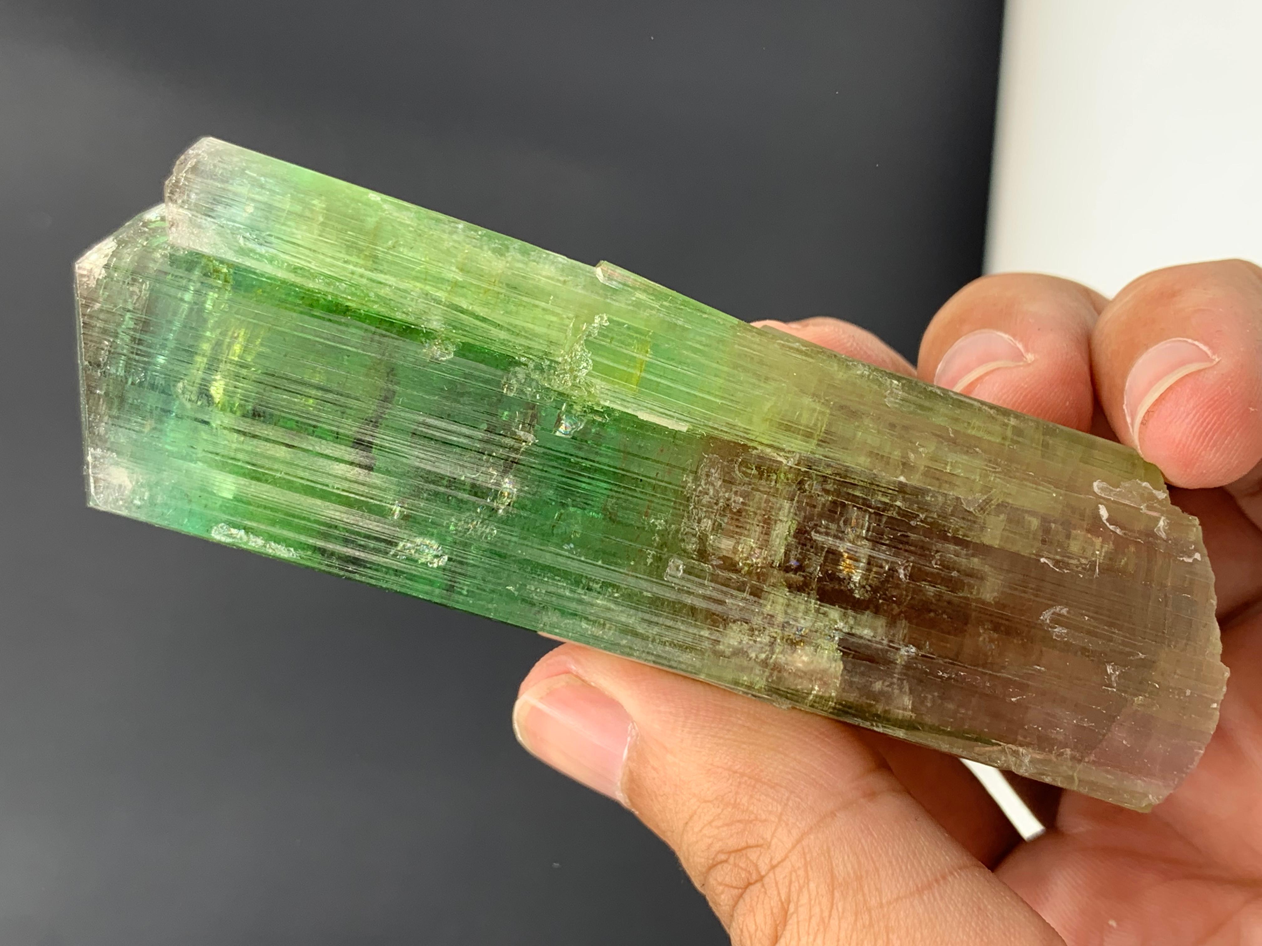 Ravissant cristal de tourmaline bicolore d'Afghanistan 137,10 grammes  en vente 4