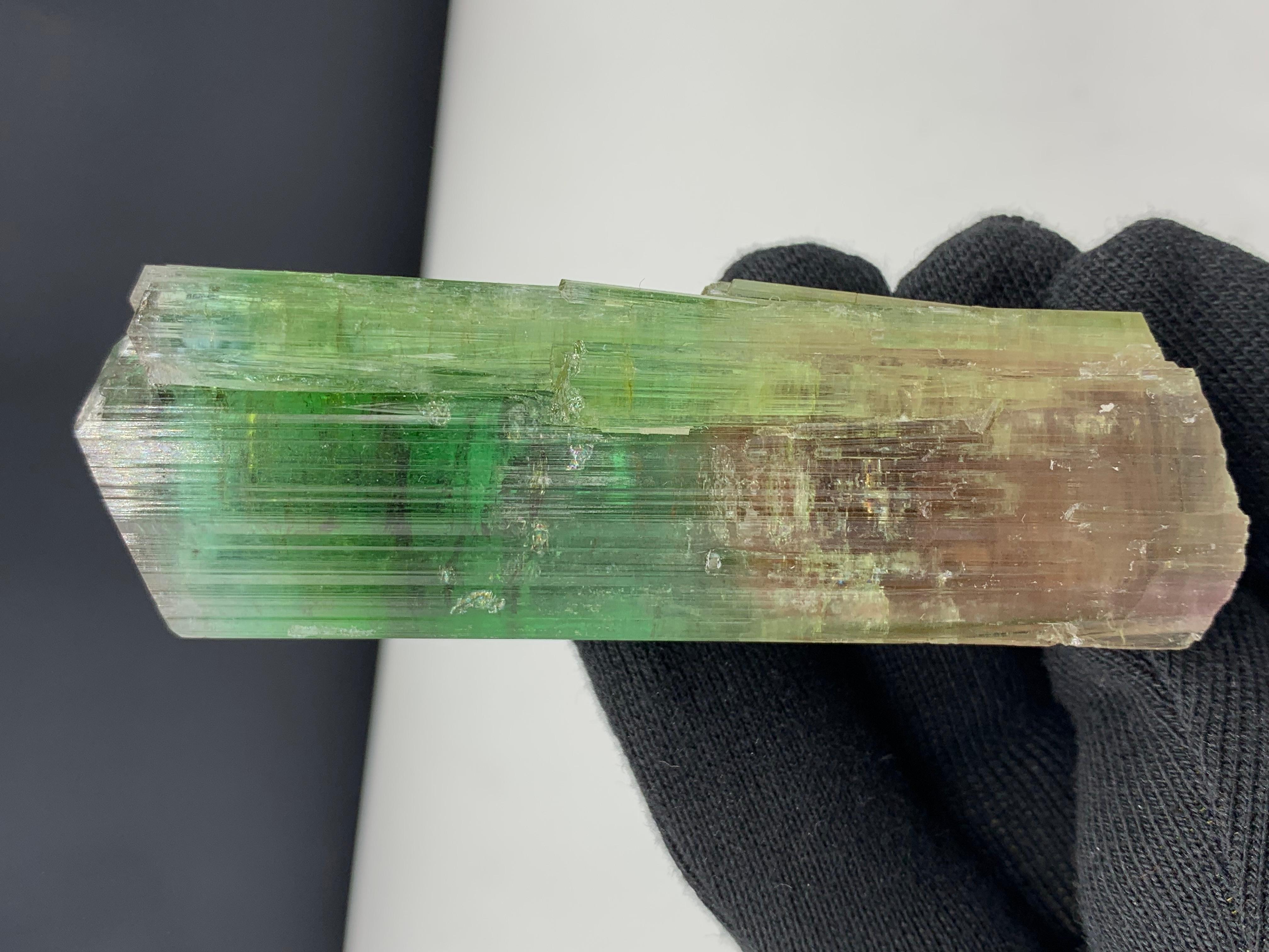 137.10 Gram Lovely Bi Color Tourmaline Crystal From Afghanistan For Sale 5