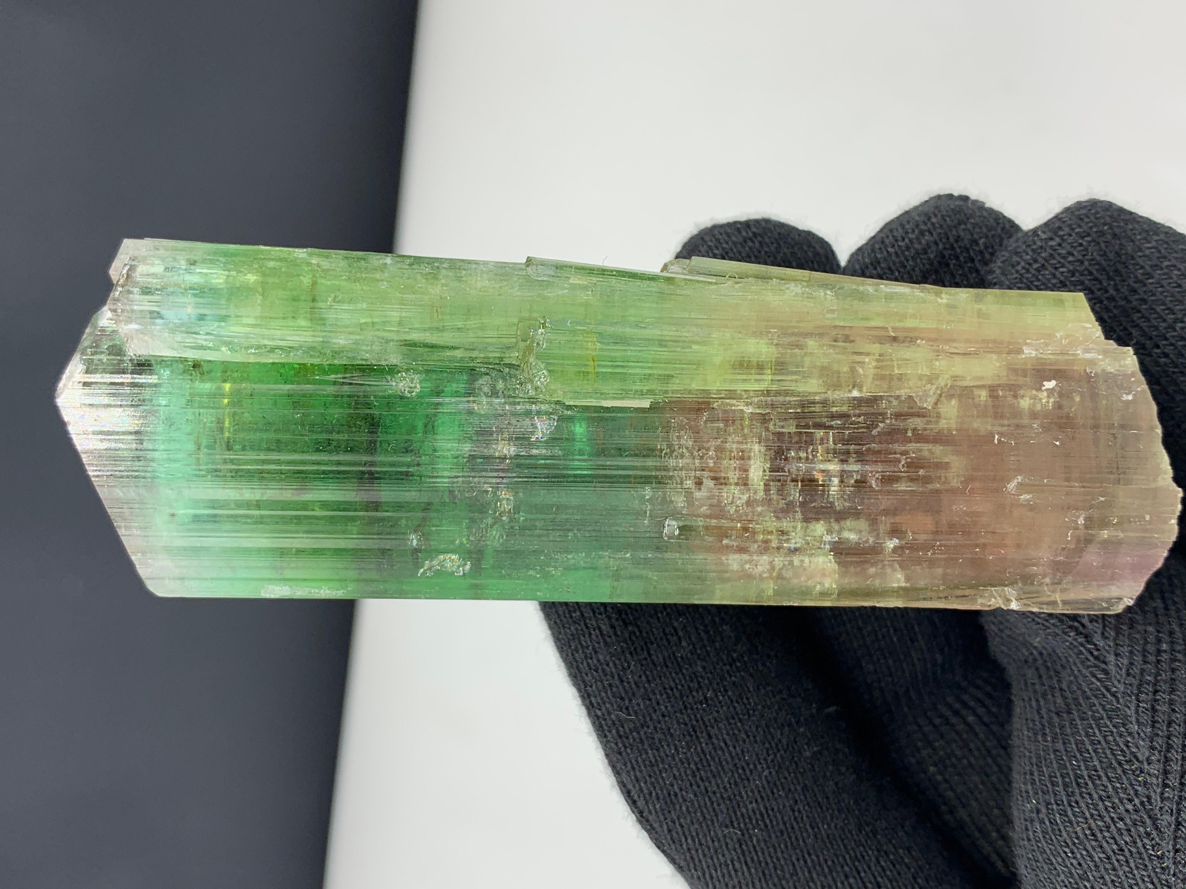 137.10 Gram Lovely Bi Color Tourmaline Crystal From Afghanistan For Sale 6