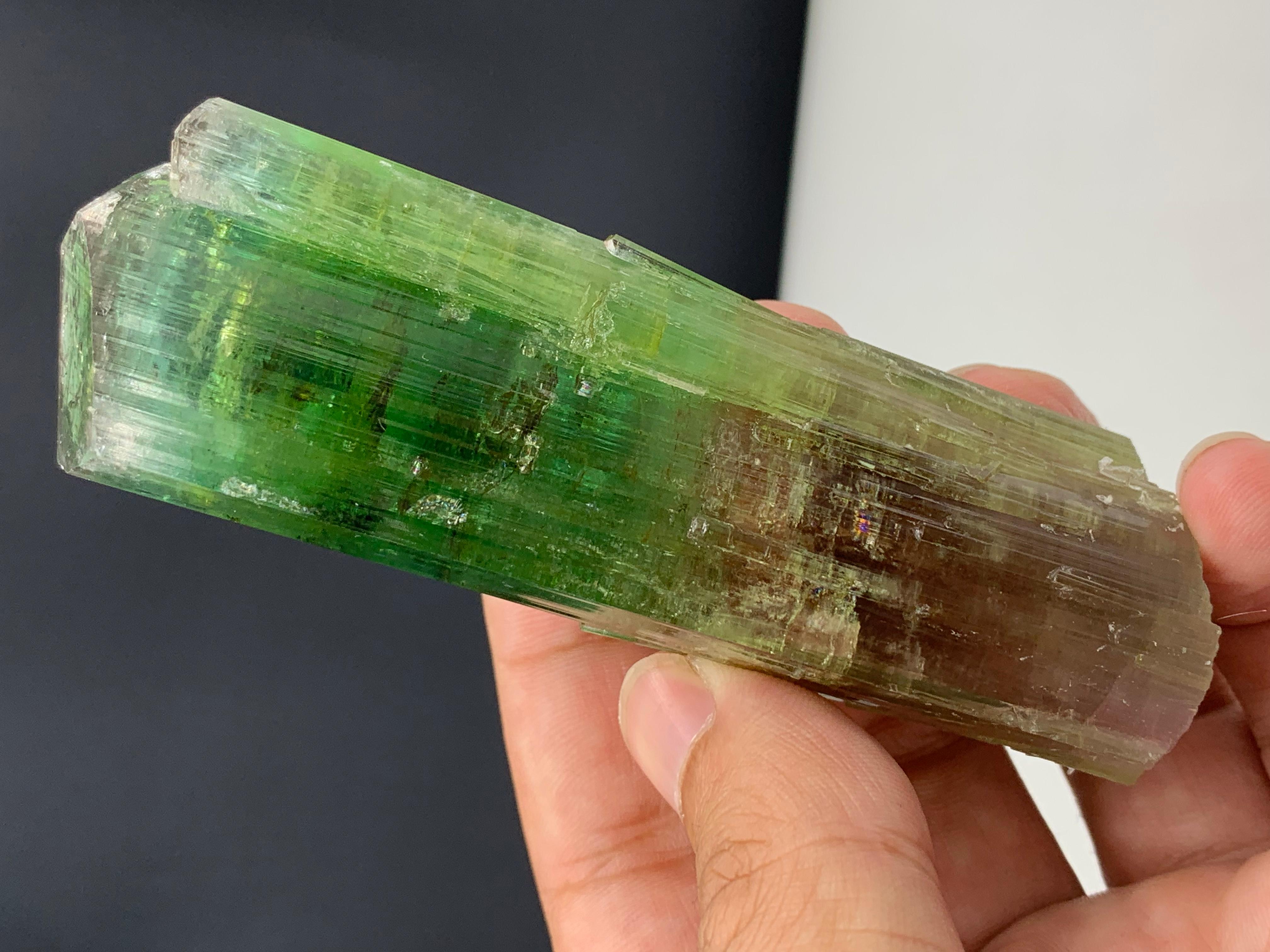 Joli cristal de tourmaline bicolore d'Afghanistan 
Poids : 137,10 grammes 
Dim : 9,6 x 3,2 x 2,3 Cm 
Couleur : vert et pêche 
Origine : Afghanistan 

La tourmaline est un groupe minéral de silicate cristallin dans lequel le bore est composé