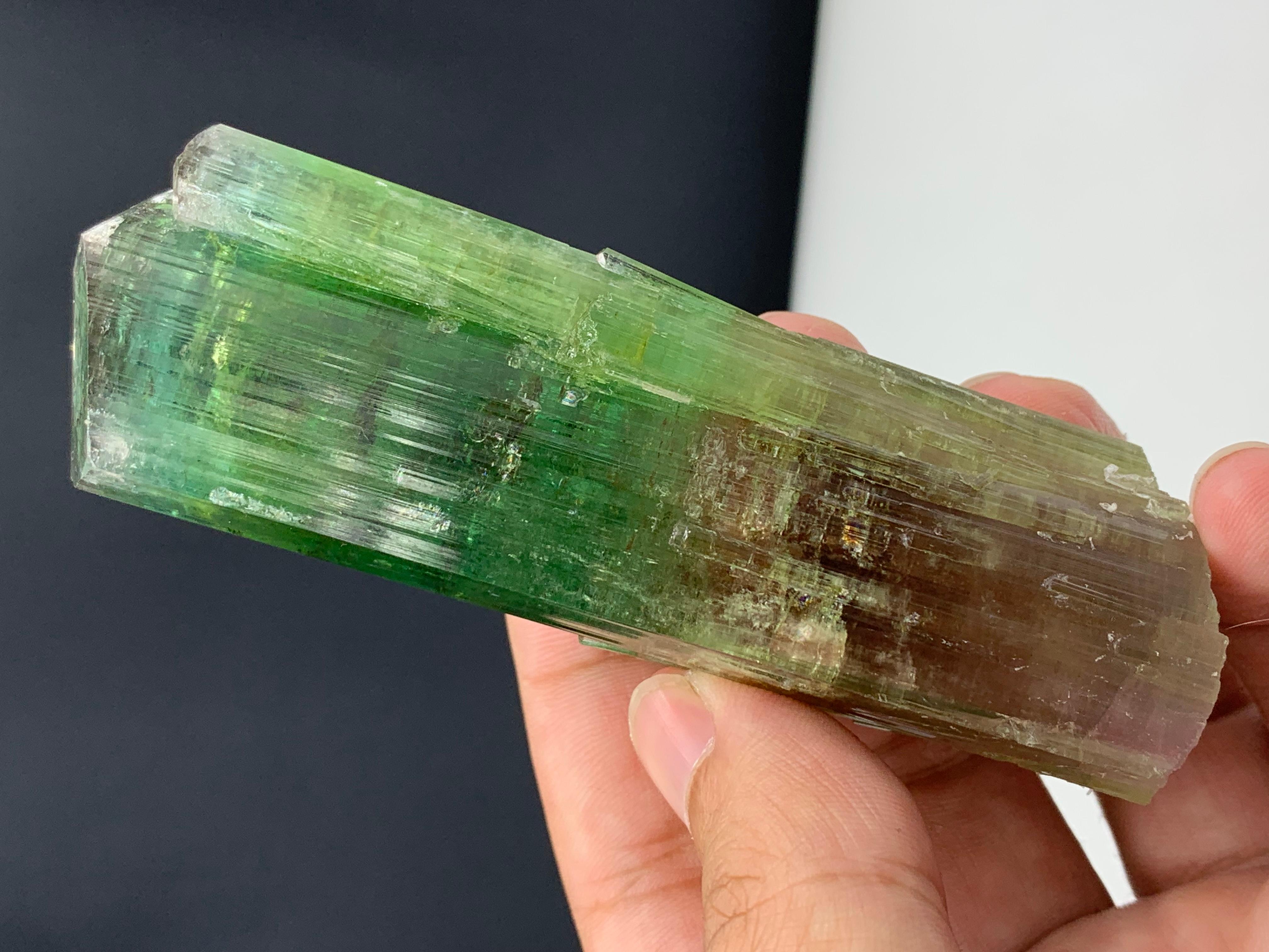 Adam Style 137.10 Gram Lovely Bi Color Tourmaline Crystal From Afghanistan For Sale