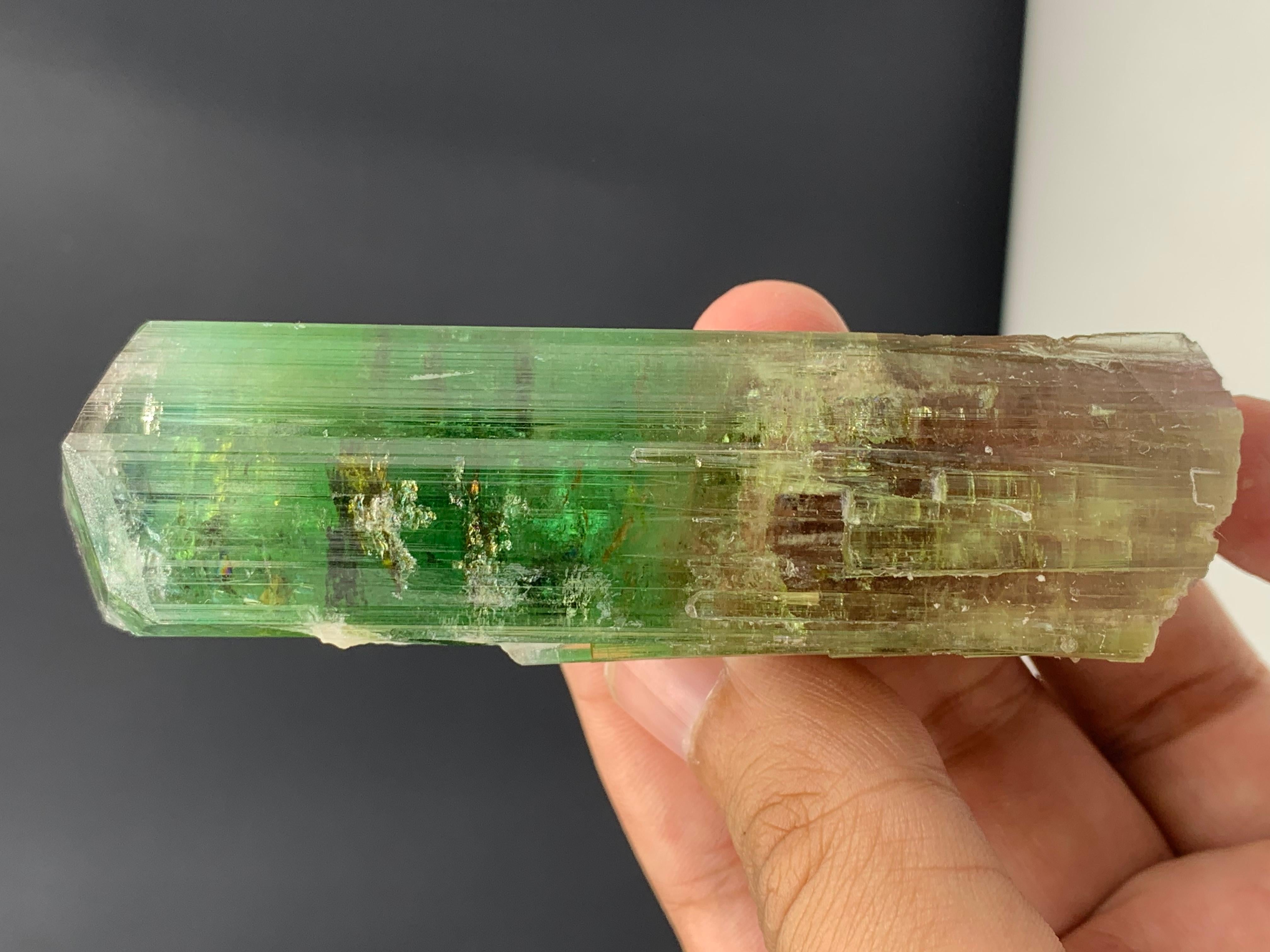 Autre Ravissant cristal de tourmaline bicolore d'Afghanistan 137,10 grammes  en vente