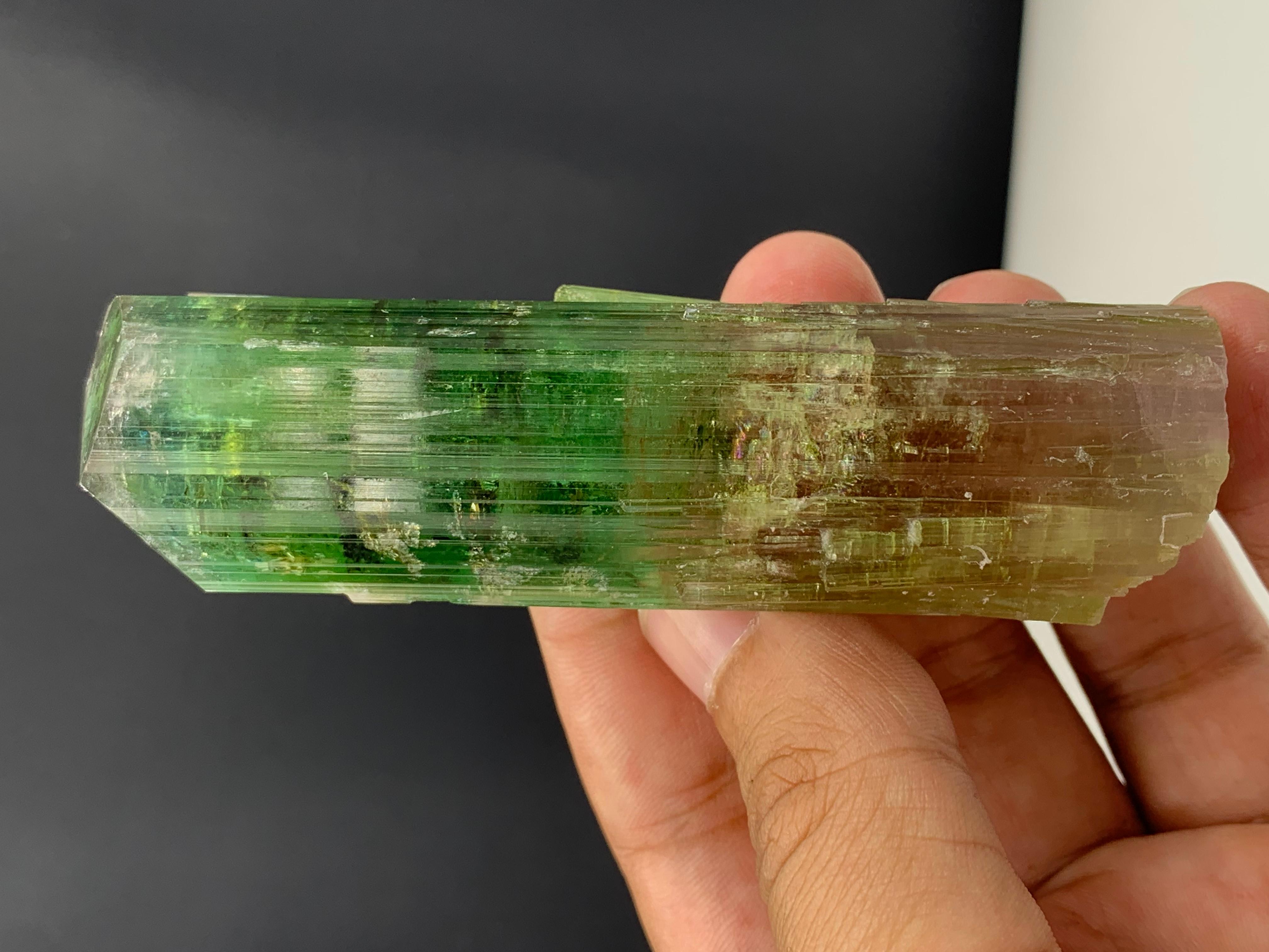 137.10 Gram Lovely Bi Color Tourmaline Crystal From Afghanistan In Good Condition For Sale In Peshawar, PK