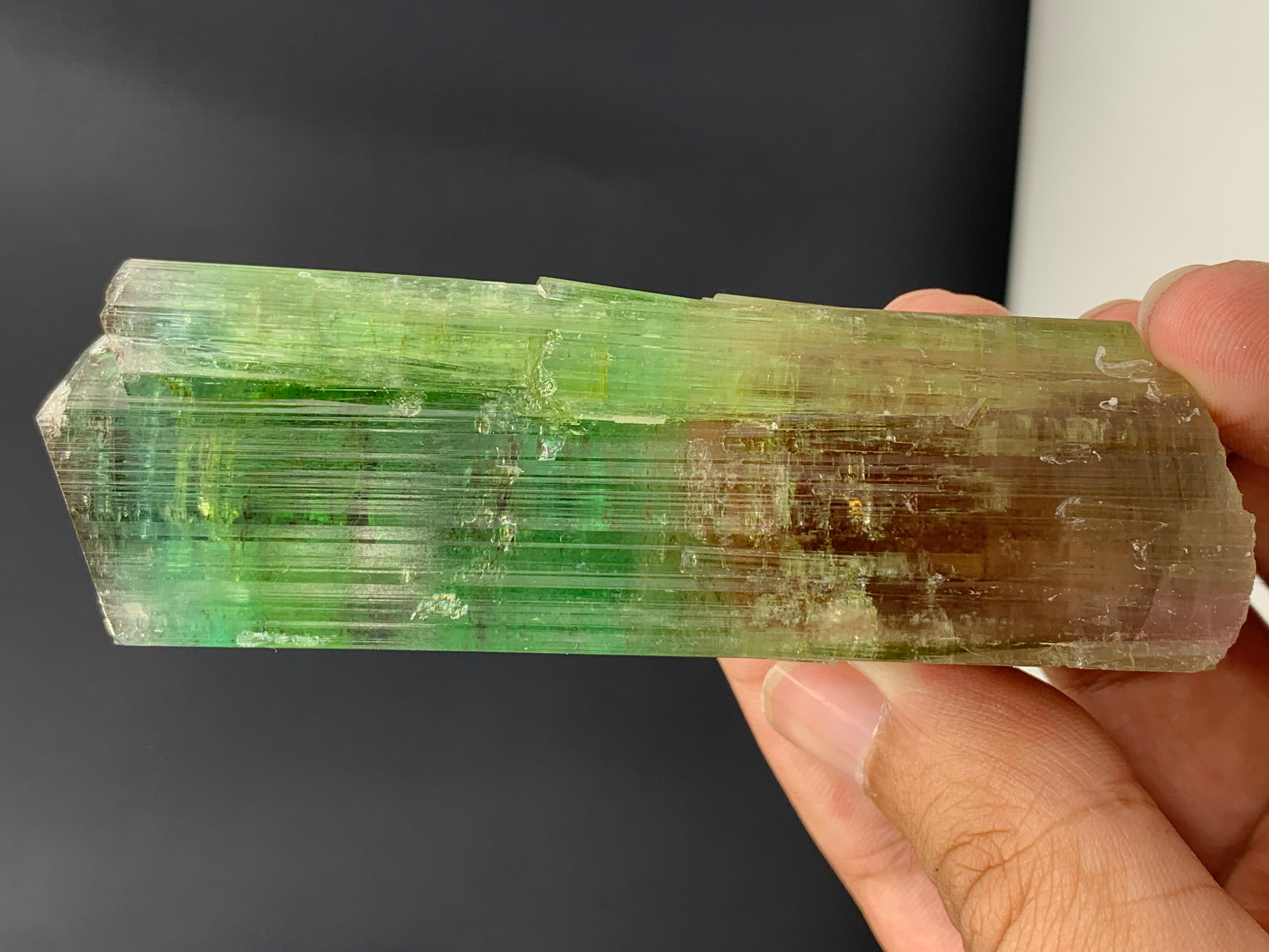 18th Century and Earlier 137.10 Gram Lovely Bi Color Tourmaline Crystal From Afghanistan For Sale