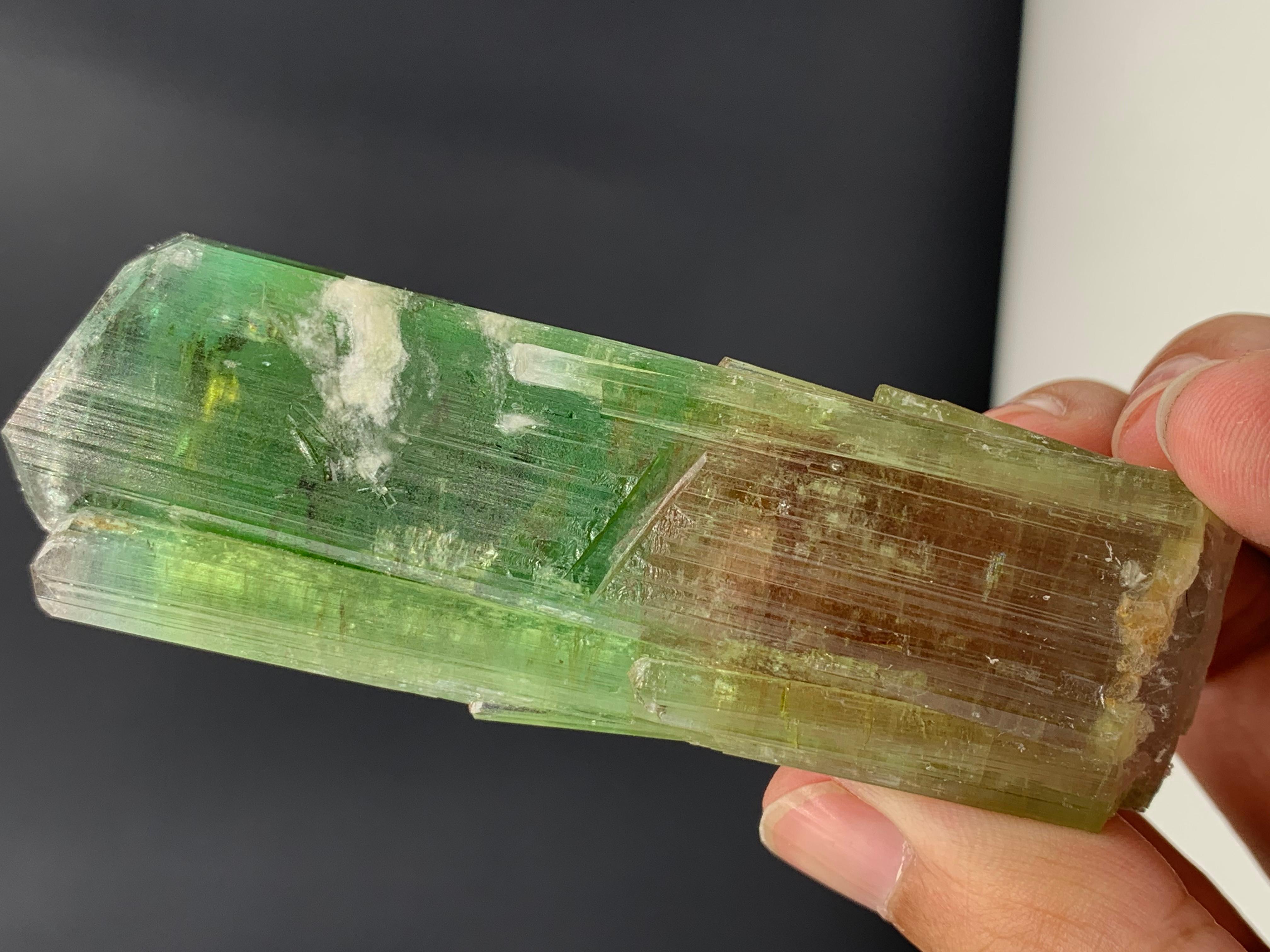 Cristal de roche Ravissant cristal de tourmaline bicolore d'Afghanistan 137,10 grammes  en vente