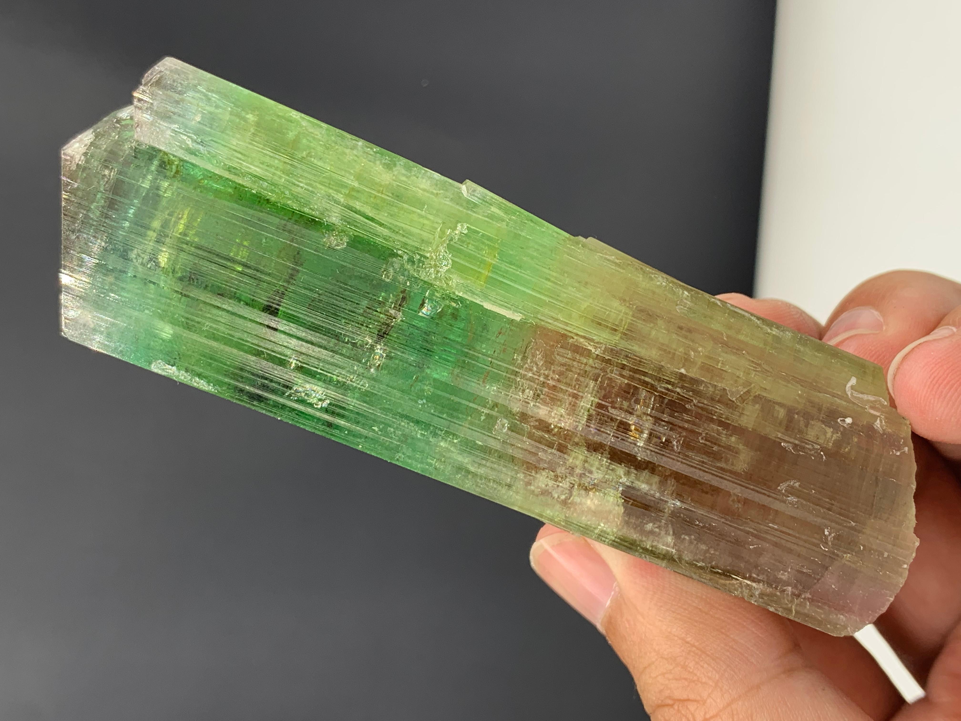 137.10 Gram Lovely Bi Color Tourmaline Crystal From Afghanistan For Sale 1