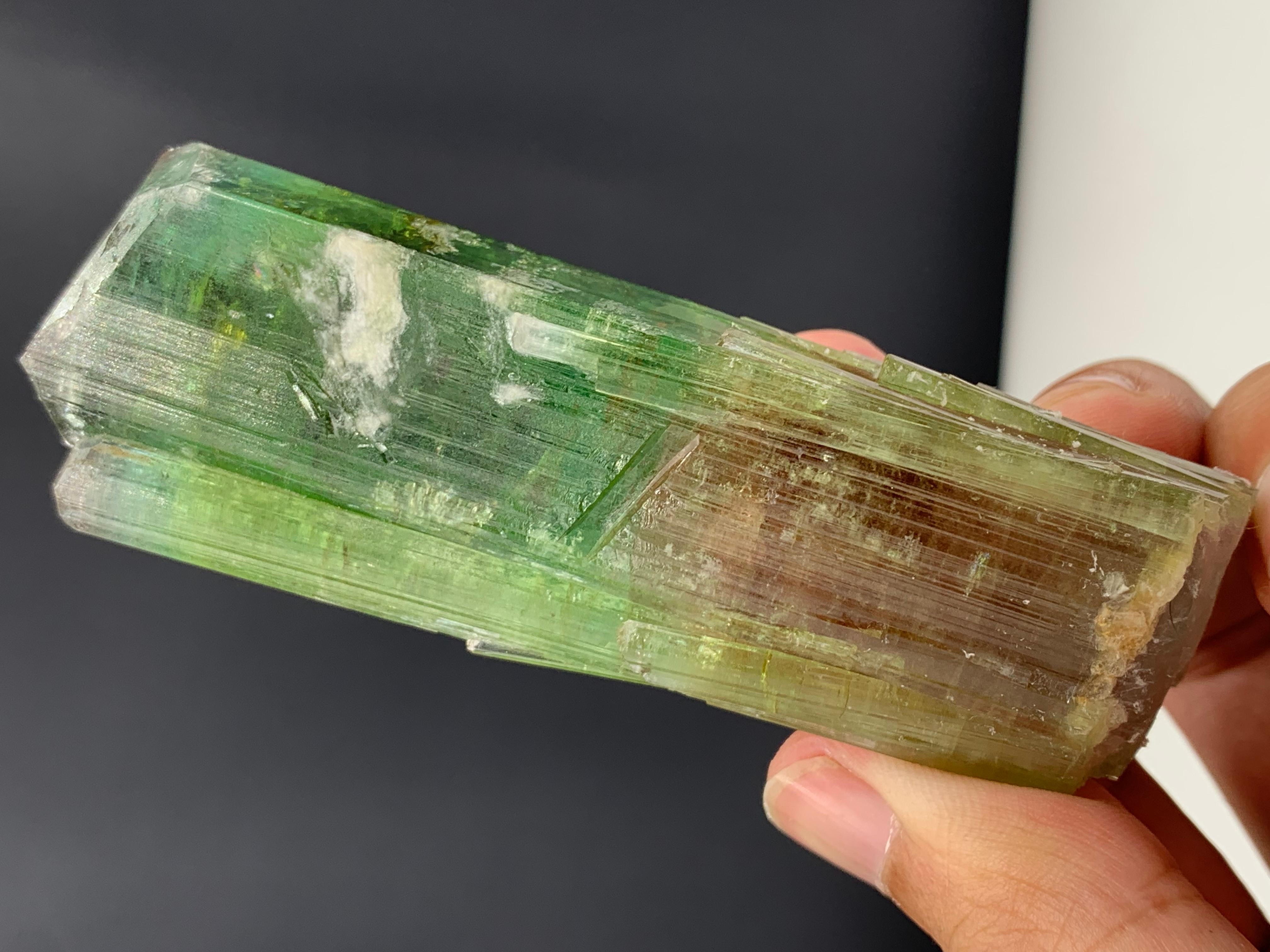 137.10 Gram Lovely Bi Color Tourmaline Crystal From Afghanistan For Sale 2