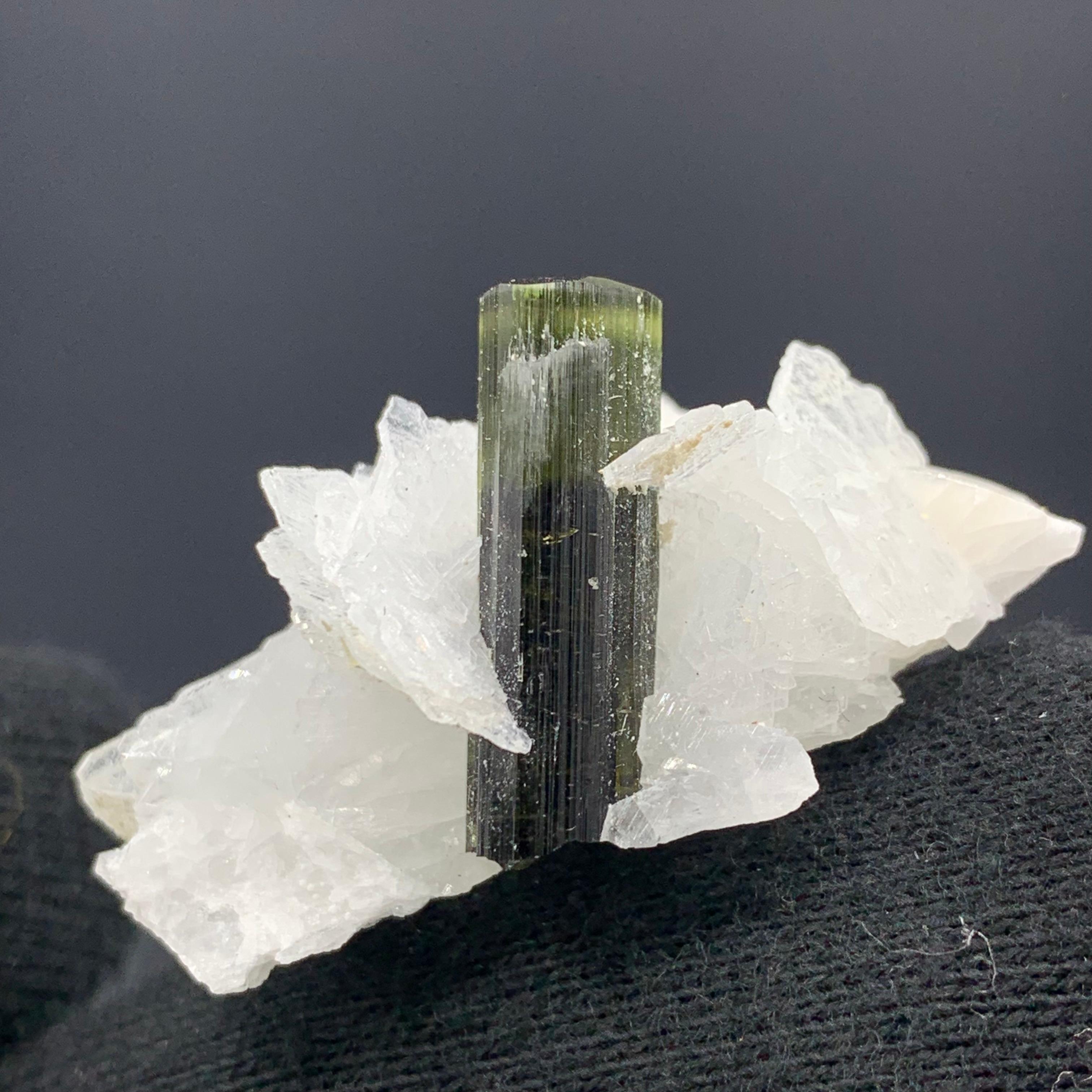 13.72 Gram Pretty Green Tourmaline Specimen With Albite From Stak Nala, Skardu, Pakistan 

Weight: 13.72 Gram
Dimension: 2.1 x 4.1 x 2.1 Cm
Origin: Stak Nala, Skardu, Pakistan 

Tourmaline is a crystalline silicate mineral group in which boron is