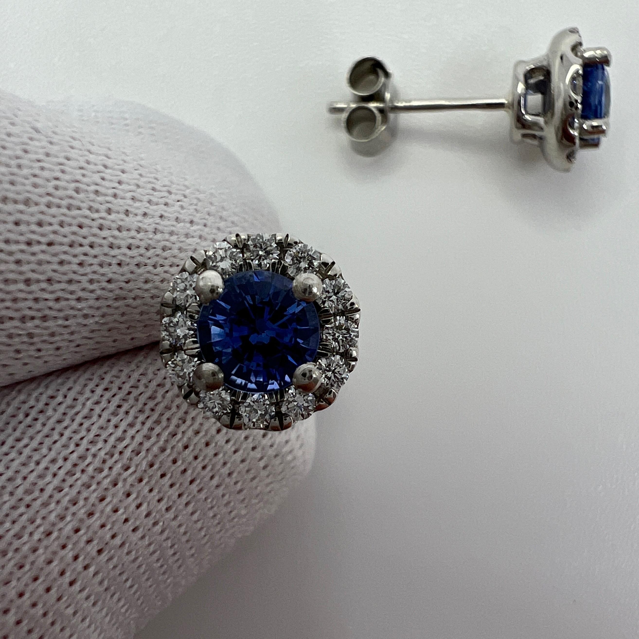 1.37ct Fine Blue Ceylon Sapphire & Diamond Platinum Round Cut Halo Stud Earrings For Sale 3
