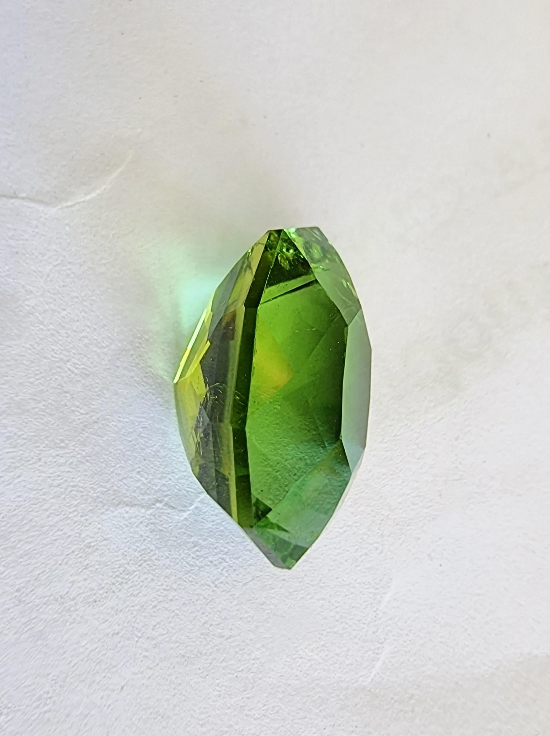 Moderne Pierre précieuse tourmaline verte menthe ovale 13,7 carats en vente