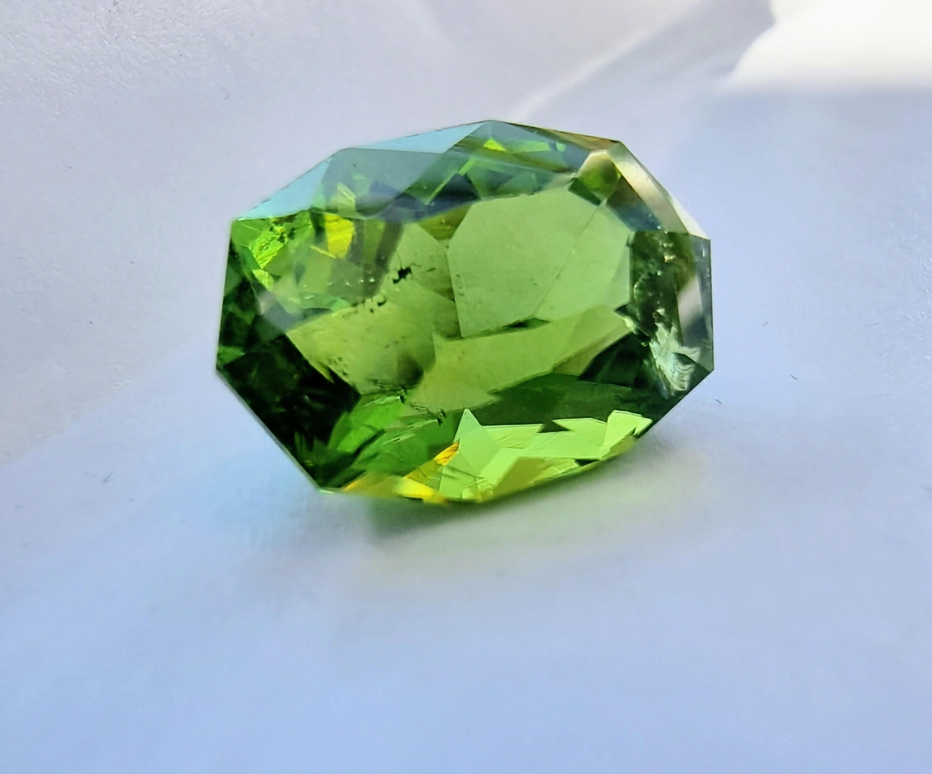 Pierre précieuse tourmaline verte menthe ovale 13,7 carats en vente 2