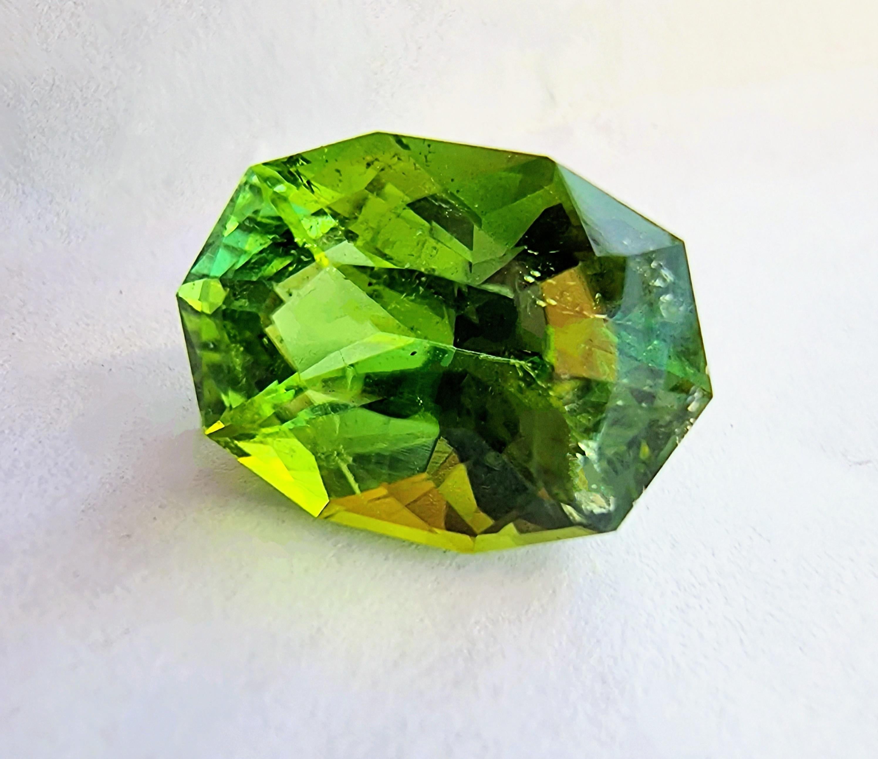 13.7ct Oval Mint Green Tourmaline Gemstone - une pierre précieuse qui capture l'essence de la sérénité et de la sophistication. Cette remarquable tourmaline en vrac, d'une teinte vert menthe apaisante, est présentée dans une taille ovale classique,