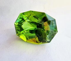 Pierre précieuse tourmaline verte menthe ovale 13,7 carats