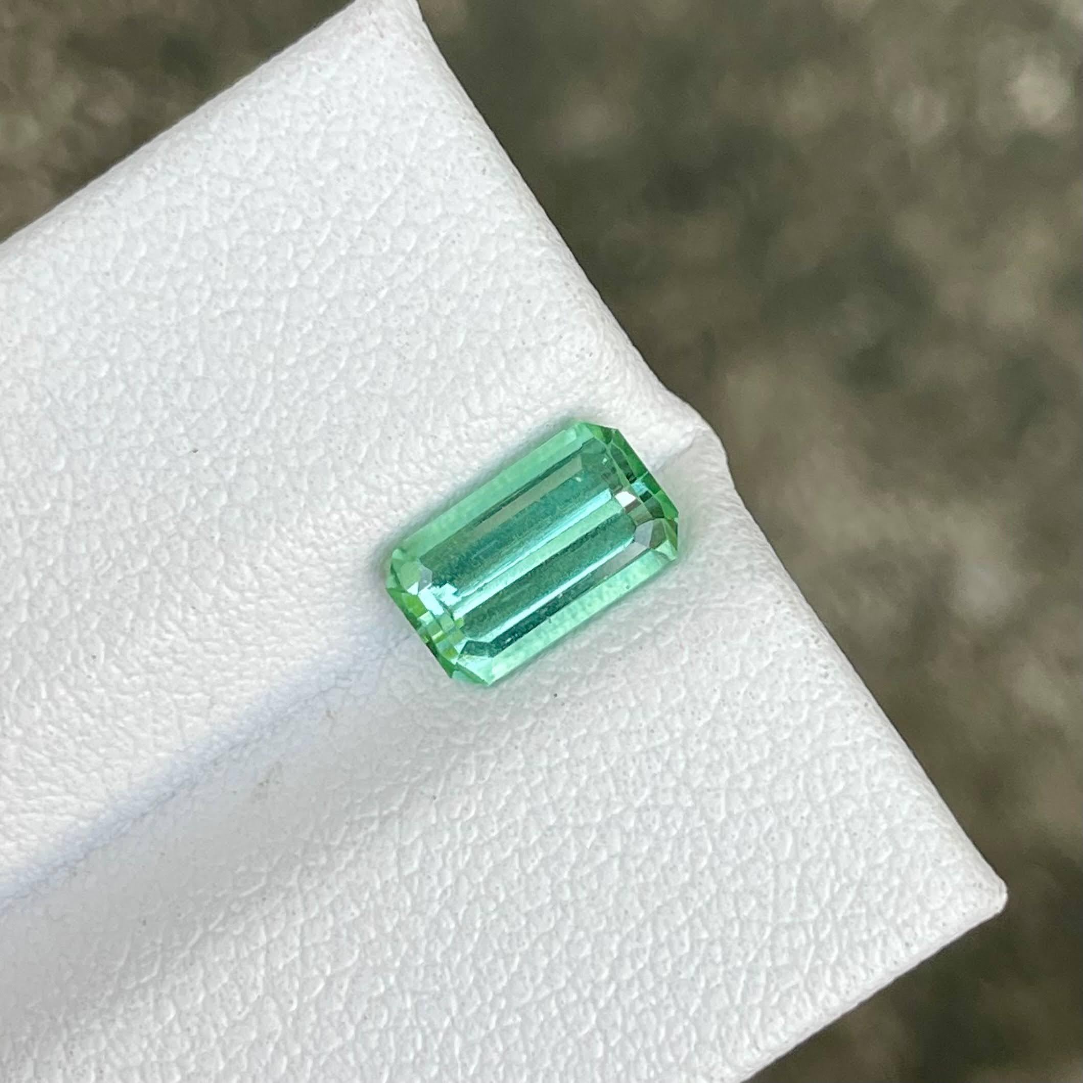 Peso 1,38 quilates 
Dimensiones 8,4x5,1x3,8 mm
Tratamiento ninguno 
Origen Afganistán 
Claridad VVS
Forma octógono 
Esmeralda tallada



La piedra Turmalina Verde Menta Laguna de 1,38 quilates, tallada meticulosamente en forma de Esmeralda, es un