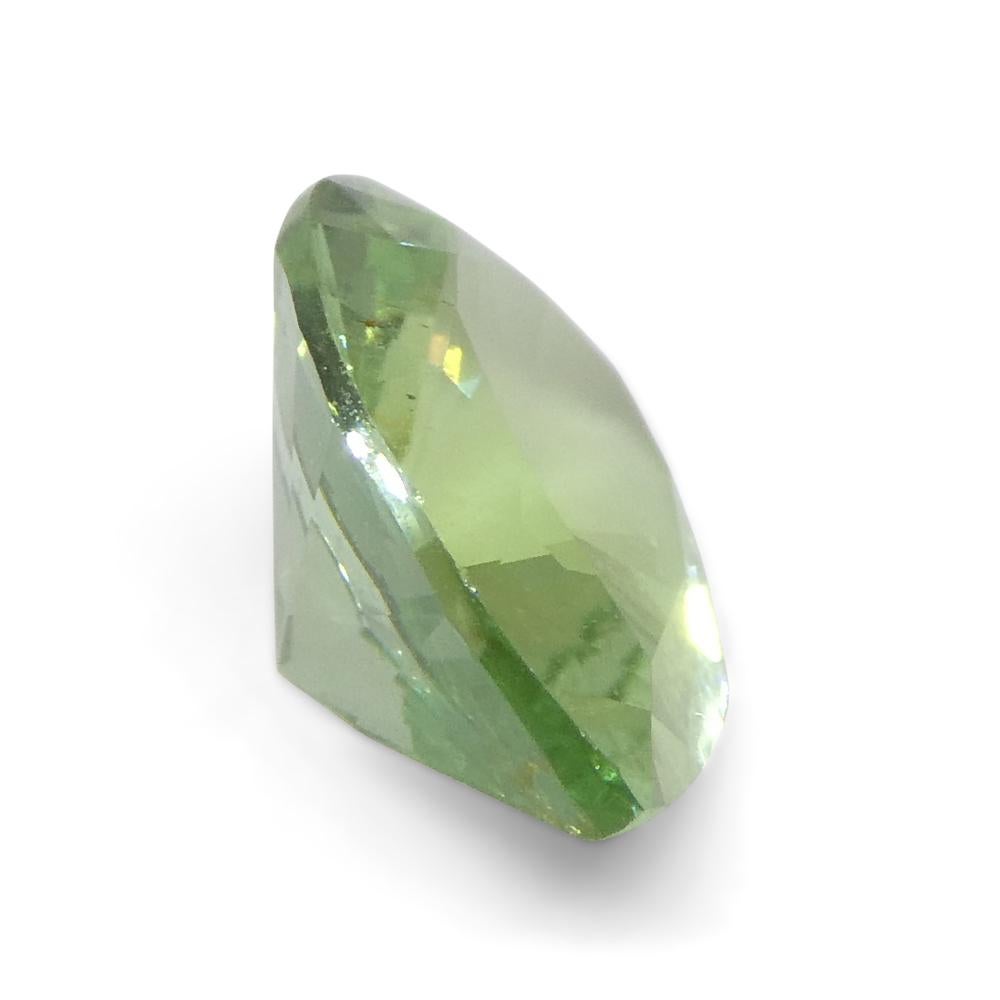 1.38ct Pear Green Tourmaline from Brazil For Sale 6