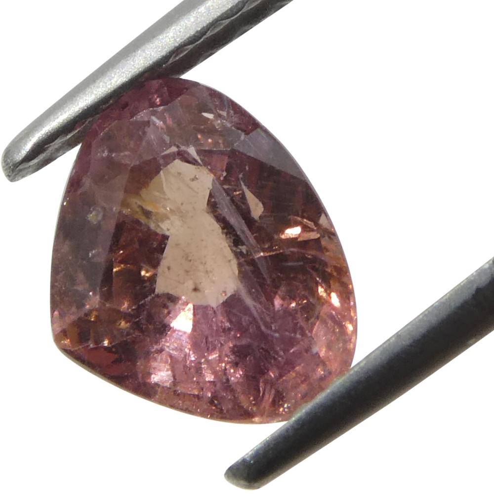 1,38ct Zaffiro Padparadscha rosa arancio a pera dalla Tanzania, non riscaldato in vendita 7