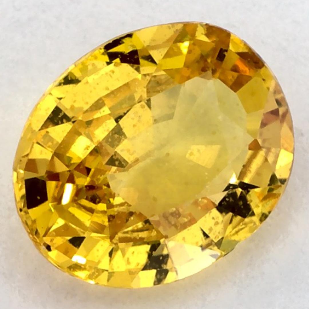 Taglio ovale 1.39 carati di zaffiro giallo ovale sfuso in vendita