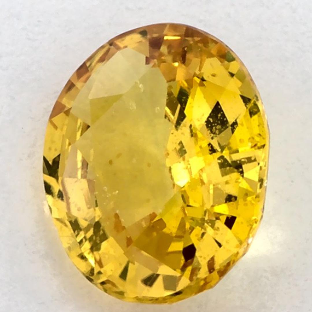 Donna 1.39 carati di zaffiro giallo ovale sfuso in vendita