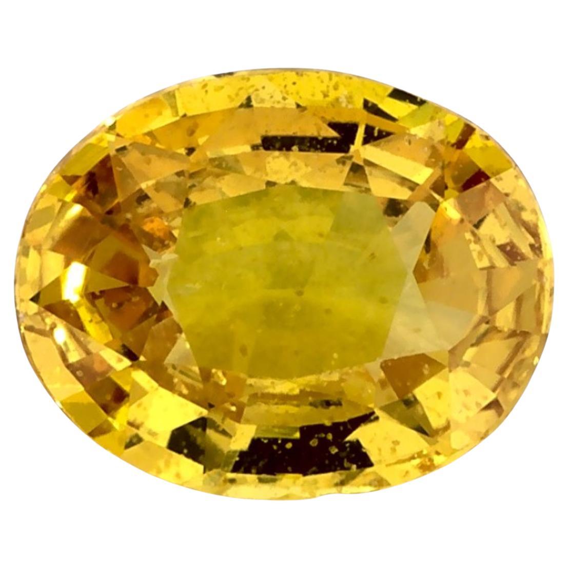 1.39 Ct Yellow Sapphire Oval Loose Gemstone (pierre précieuse en vrac)
