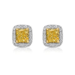 Rare Colors -  Fancy Yellow Diamond Halo Stud Earrings