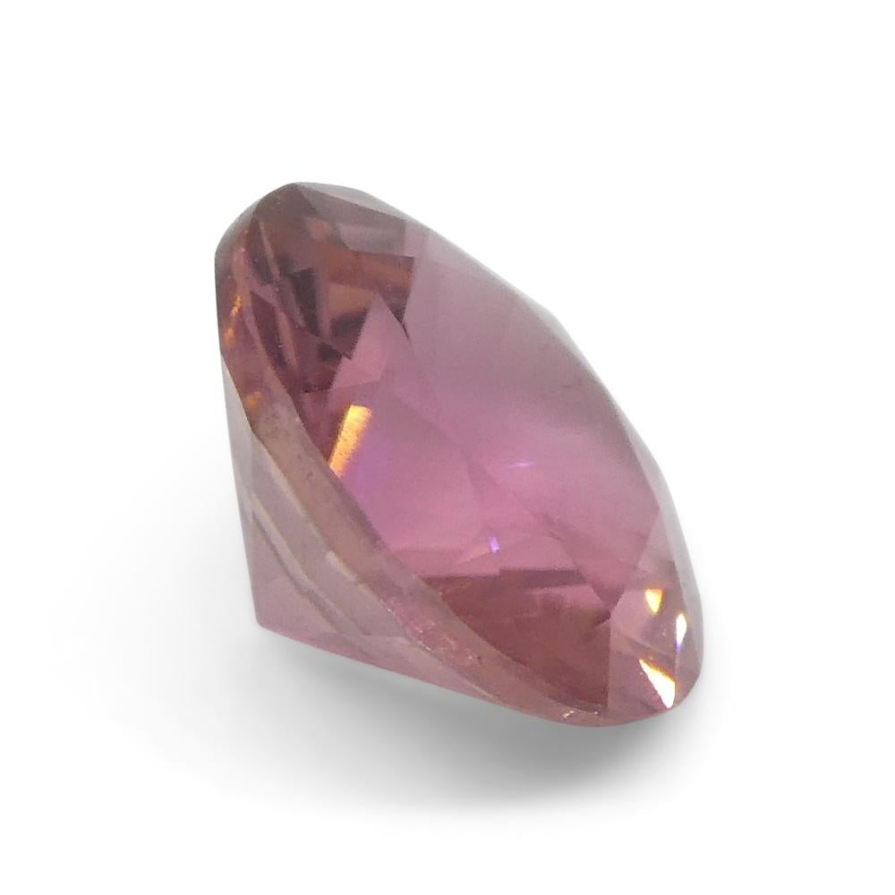 1.3ct Round Pink Tourmaline from Brazil For Sale 4