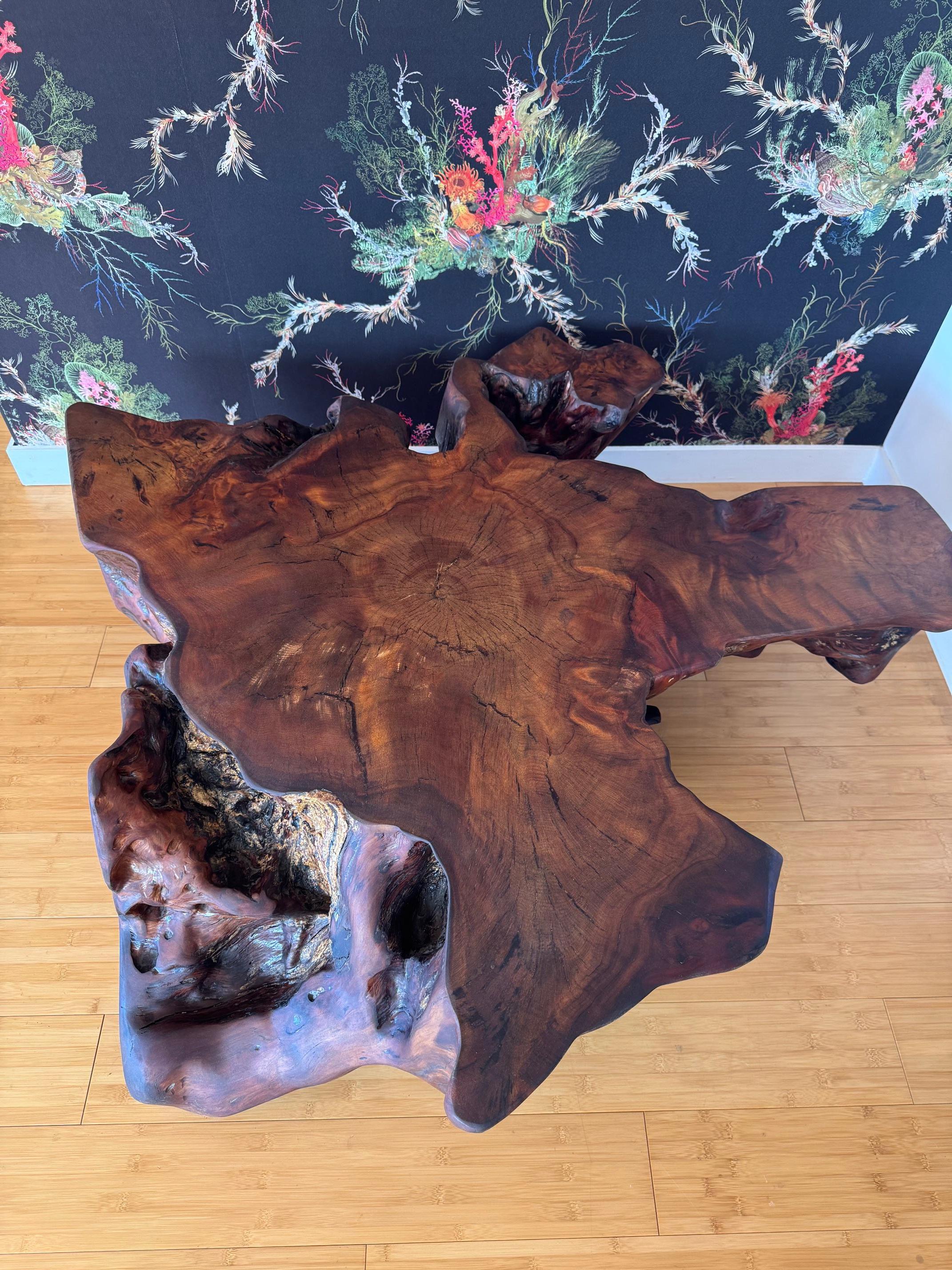 1.3m Kauri Coffee Table in Solid Ancient Kauri Wood For Sale 1
