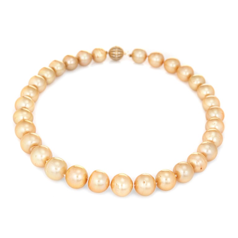 Golden South Sea Pearl Necklace Diamond Clasp 14 Karat Gold Estate For ...