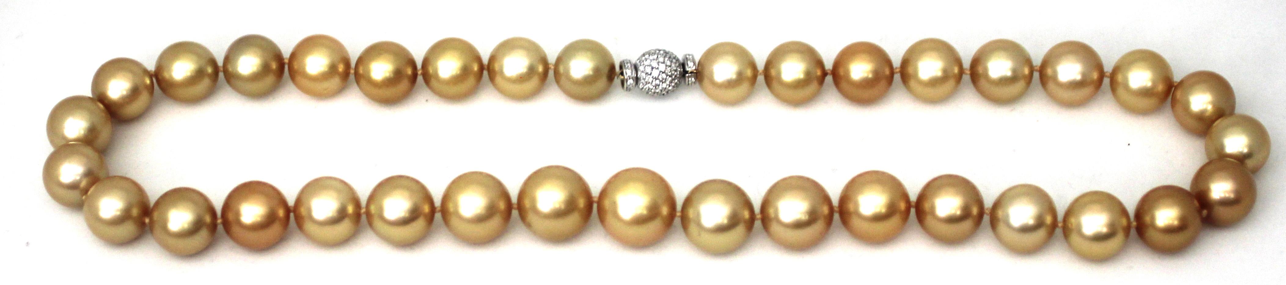 Contemporain Hakimoto Collier de perles des mers du Sud dorées de 16 x 13 mm de couleur naturelle en vente