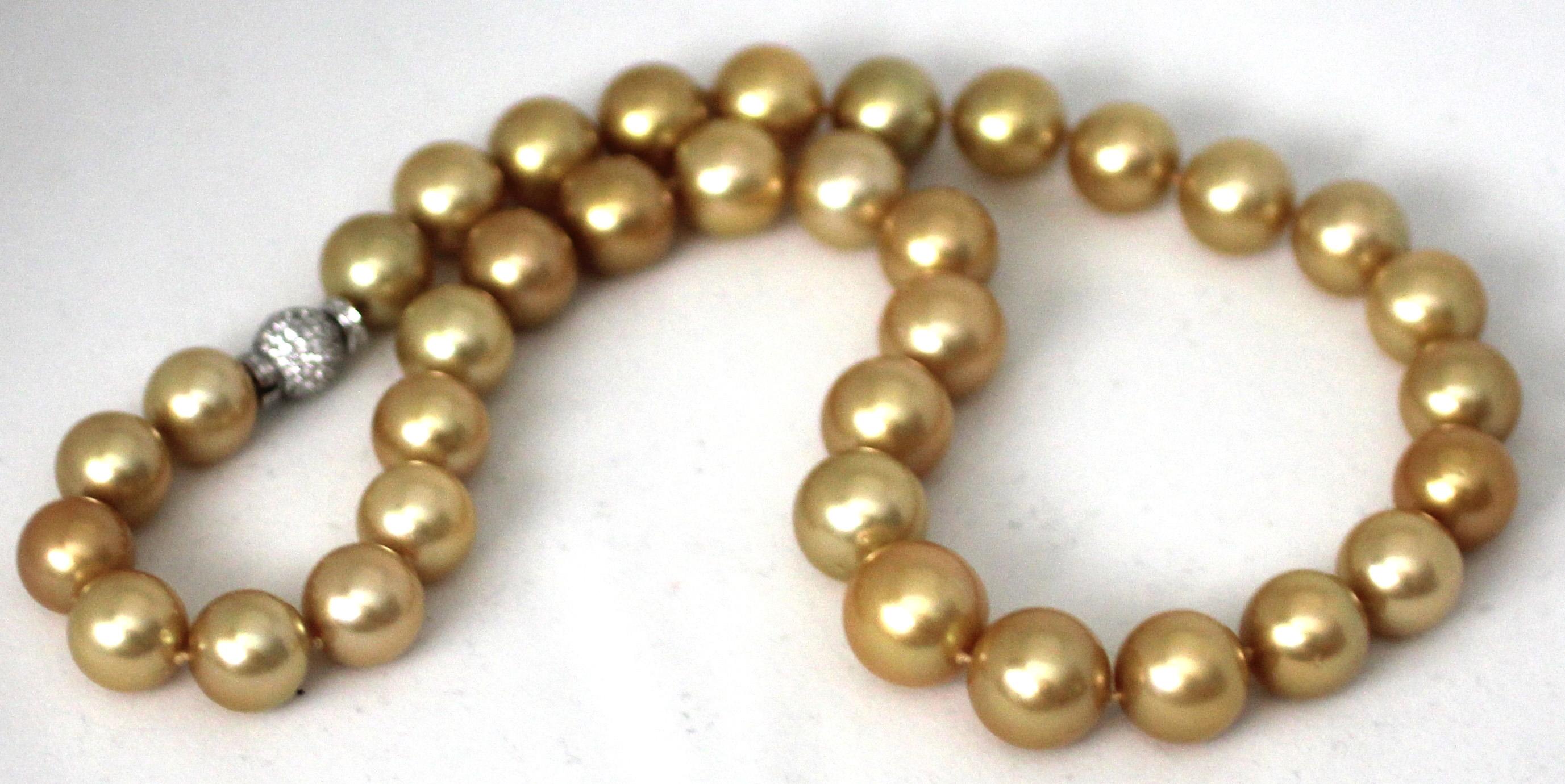 Hakimoto Collier de perles des mers du Sud dorées de 16 x 13 mm de couleur naturelle en vente 1
