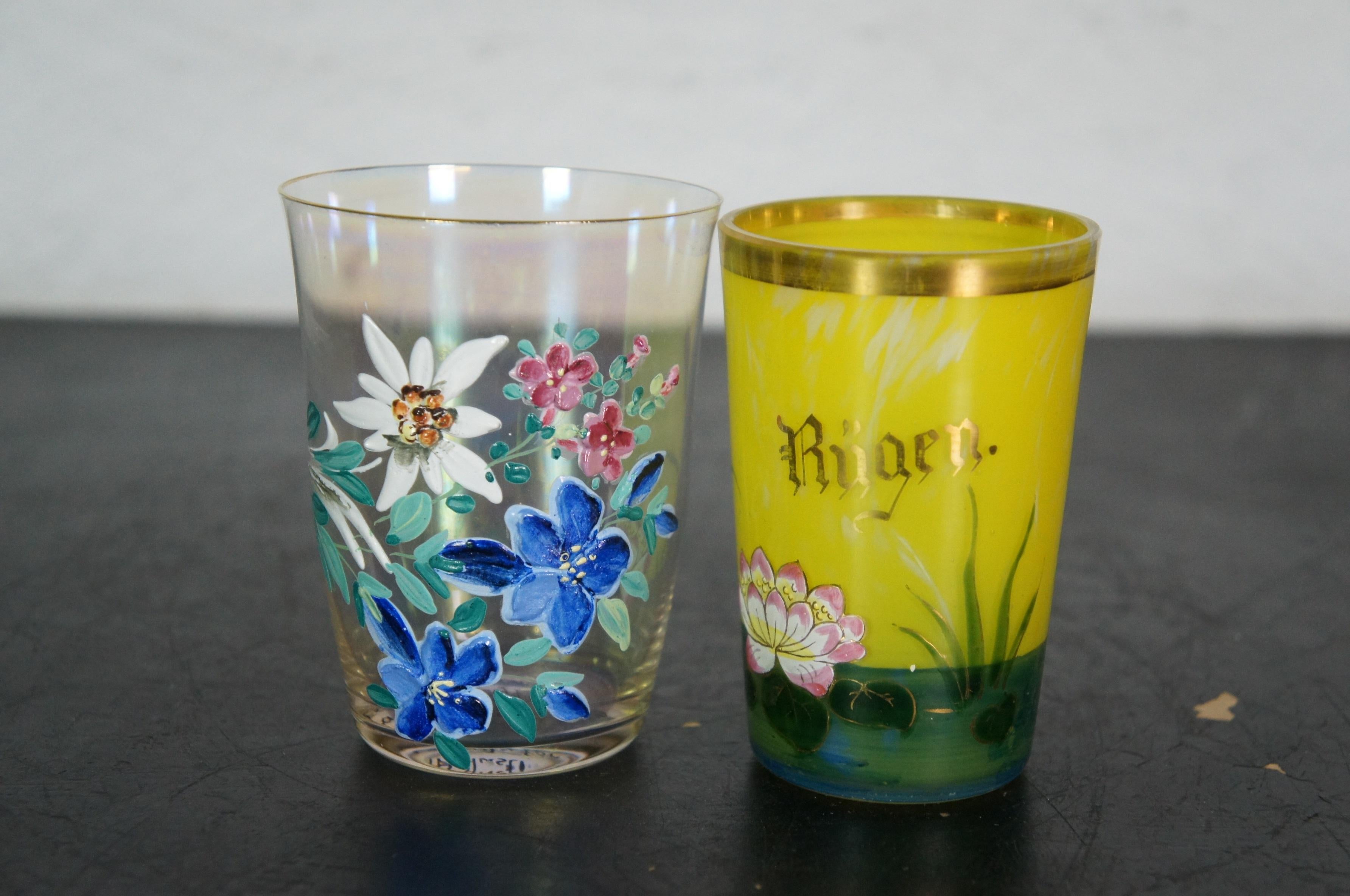 14 Copas y Decantador de Cerveza Alemanes Antiguos de Recuerdo con Esmalte Floral 4