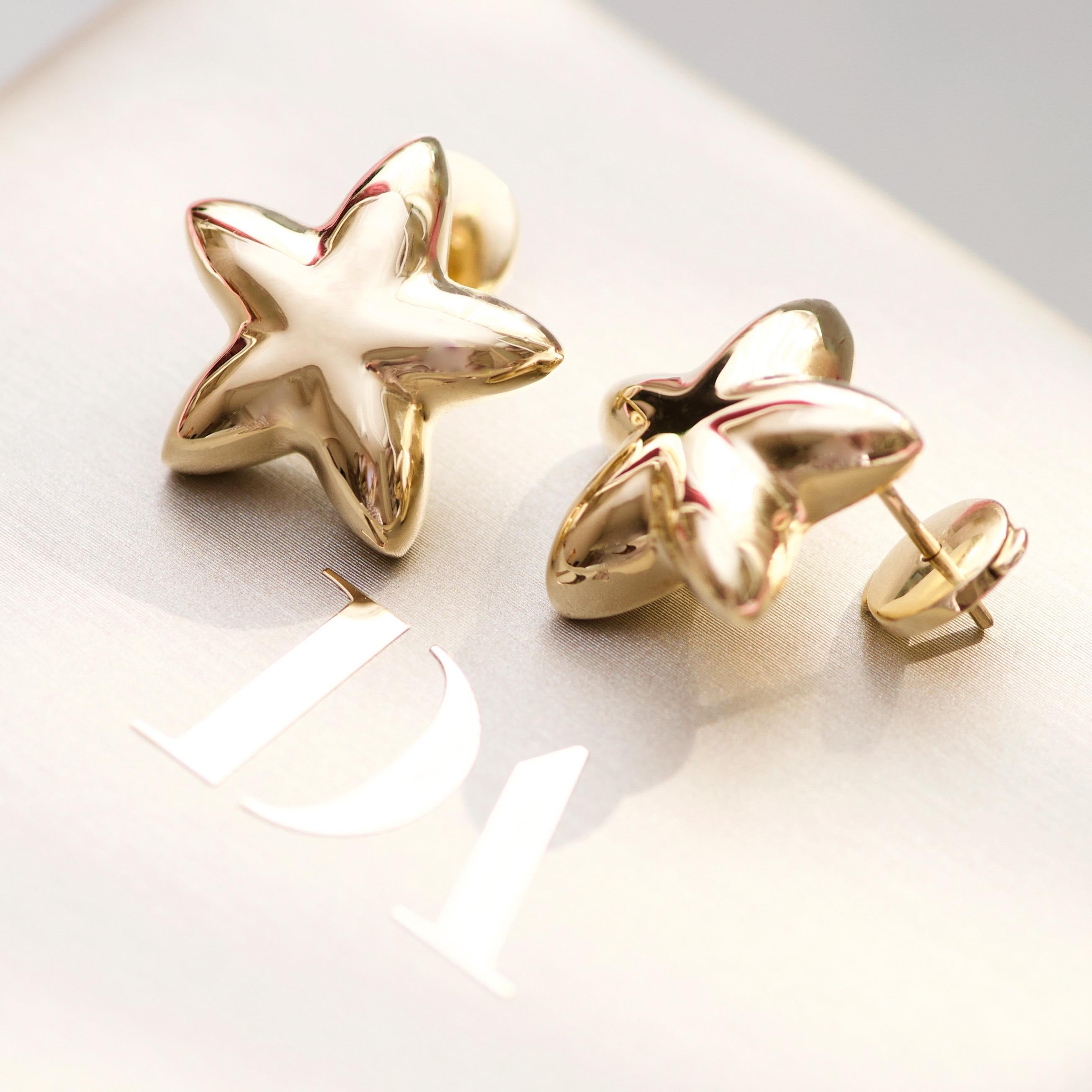 The star is a symbol of eternity, light, and high aspirations.
The star is associated with night, but at the same time it embodies the forces of spirit that oppose the forces of darkness. And besides, such earrings are looking cool with any outfit -