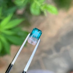 1.4 Cts Bicolor Natural Teal Blue with Pastel Pink Color Tourmaline Gemstones