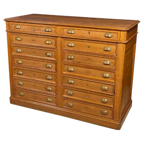 14 Drawer Collections Cabinet with Brass Hardware For Sale at 1stDibs