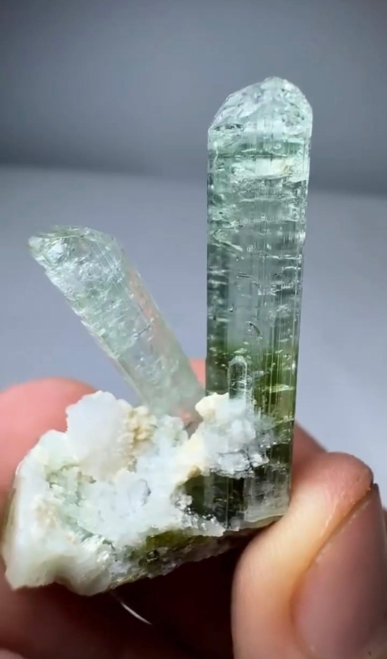 Informazioni sul prodotto:

Nome del campione: Cristallo di tormalina

Peso: 14 grammi

Dimensioni: H: 4,2 x L: 2,6 x P: 1,8 cm 

Trattamento: Nessuno

Origine: Miniera di Paprok, provincia di Nuristan, Afghanistan 

Descrizione: 

Estetica coppia