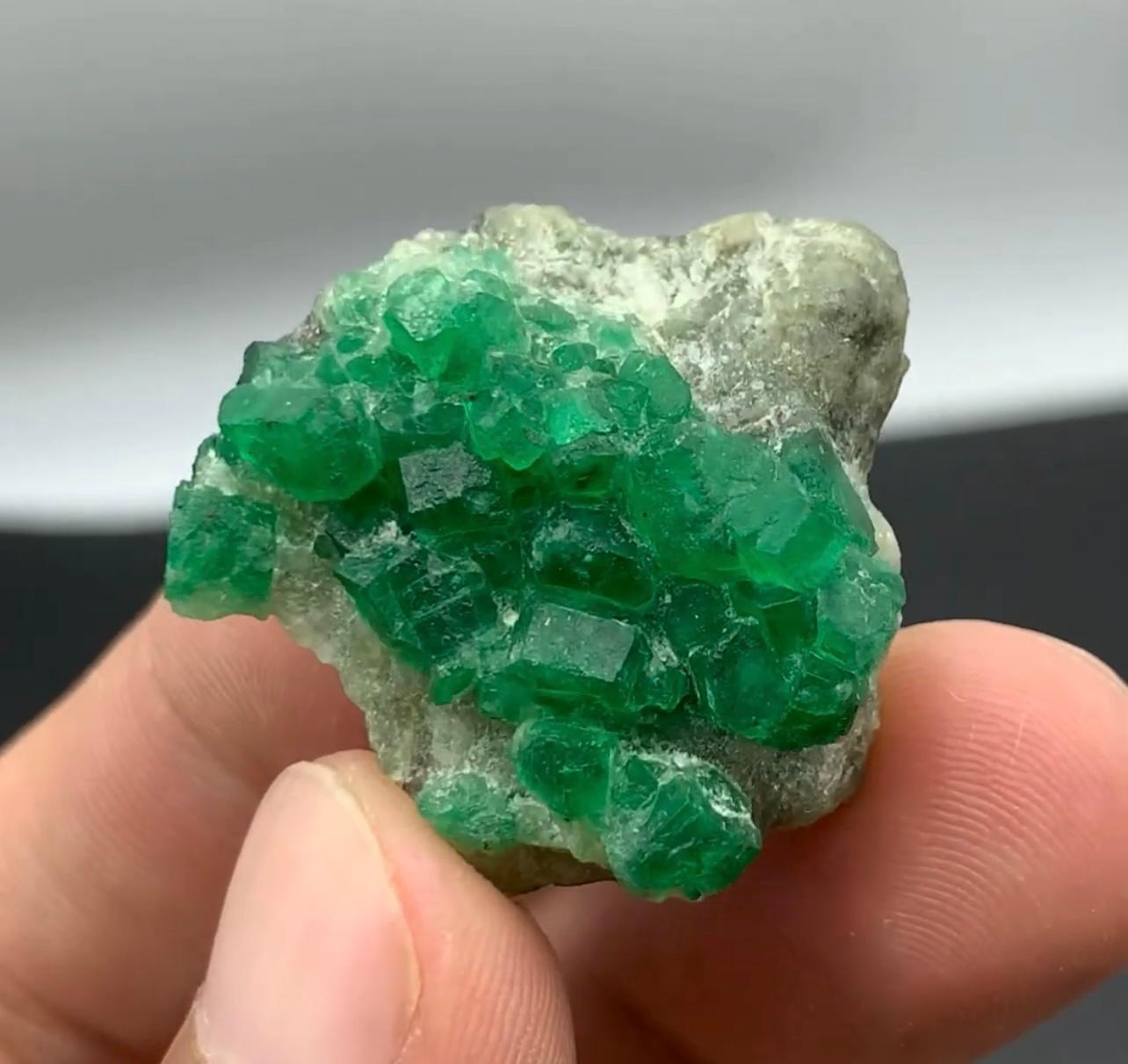 Product Information:

Specimen Type: Emerald Crystal

Weight: 14 grams

Dimension: H: 3 x W: 2.9 x D: 1.6 cm

Origin: Swat Valley, KPK Province, Pakistan 

Treatment: None

Description: 

This striking specimen from Pakistan features a robust