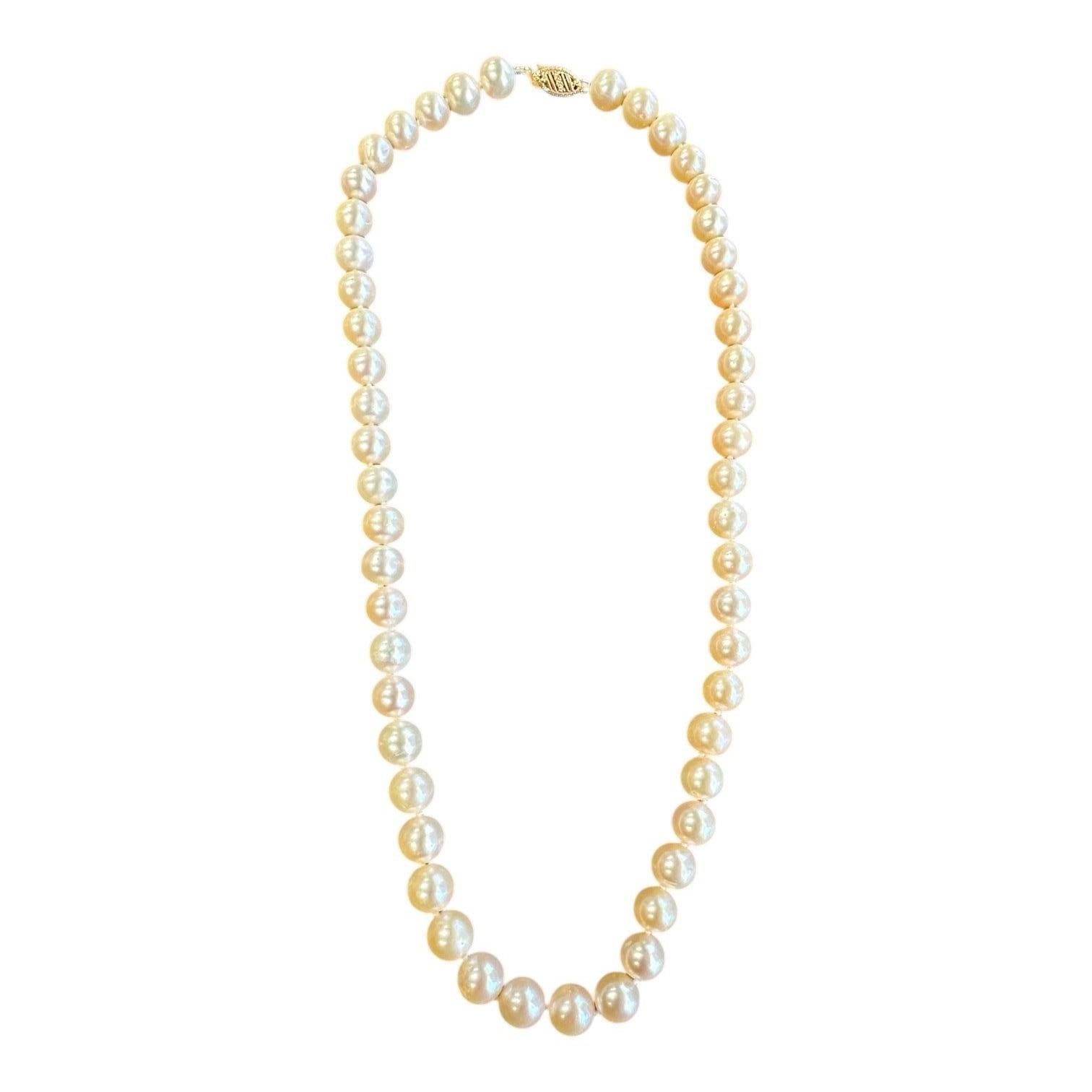 Ce collier exquis en or 14 carats est orné d'un magnifique rang de perles de culture de 8 1/2 mm. L'éclat lumineux et la couleur chaude des perles font de cette pièce un ajout intemporel et élégant à toute garde-robe. Parfait pour les occasions