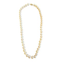 14 karat 8 1/2 mm Cultured, Pearl 18 inch Strand