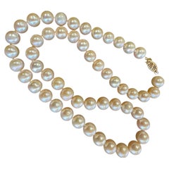 Beaded Necklaces