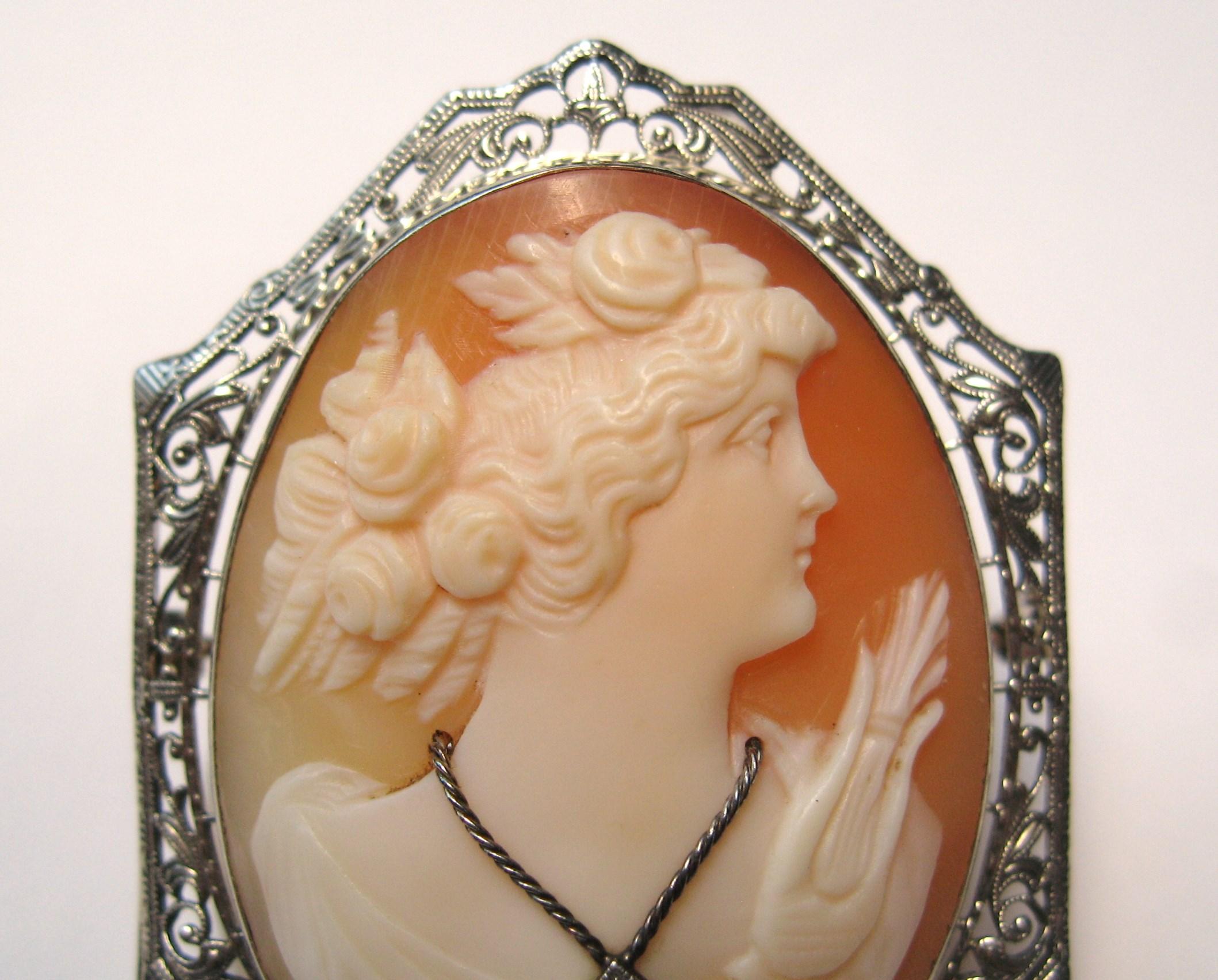 Lovely 14k White Gold Carved Cameo Brooch Depicting a lovely lady with a wonderful diamond necklace. It measures 1.82 in.  top to bottom x 1.34 in. wide. Pin back works great. What a wonderful addition to your jewelry collection. Please check our
