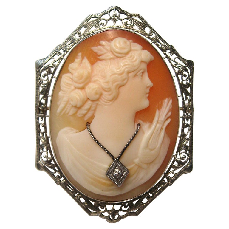 Camée Broche/pendentif Ancien Or Blanc 14 Carats - Fin 1800 - Diamant - Italie