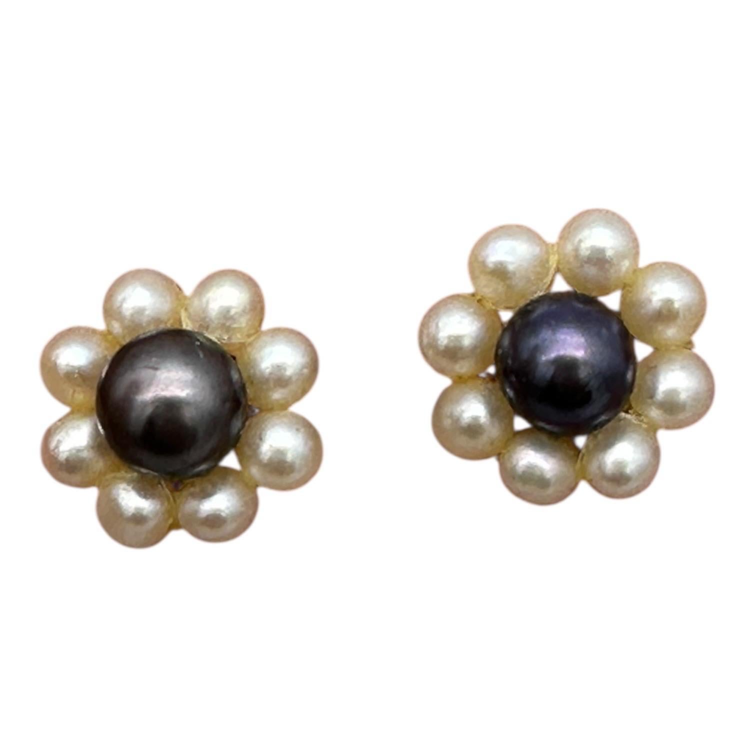 Non è stata fornita alcuna descrizione