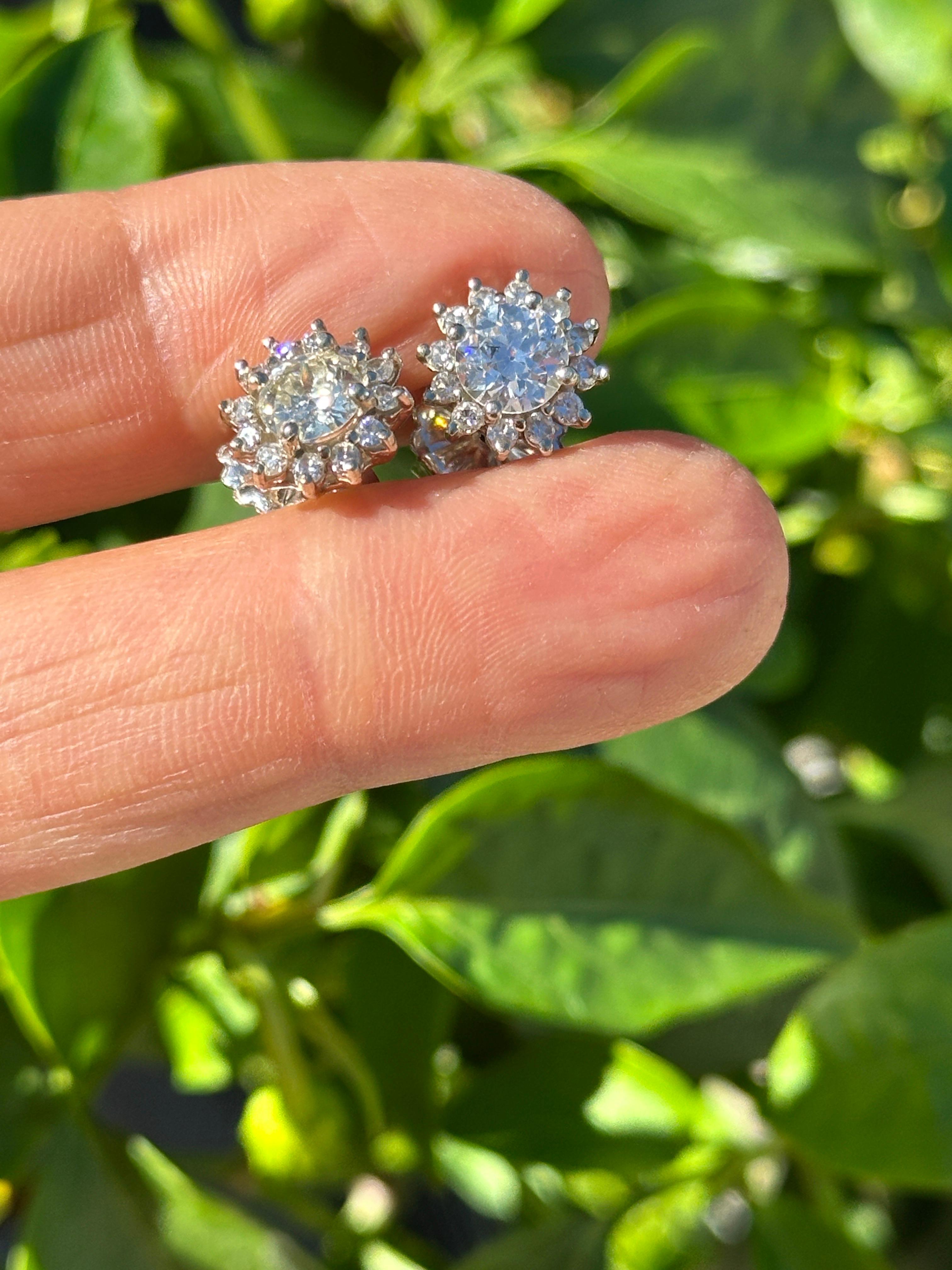 Contemporain Boucles d'oreilles avec halo en diamant naturel de 2,50 carats et brillant, 14 carats en vente