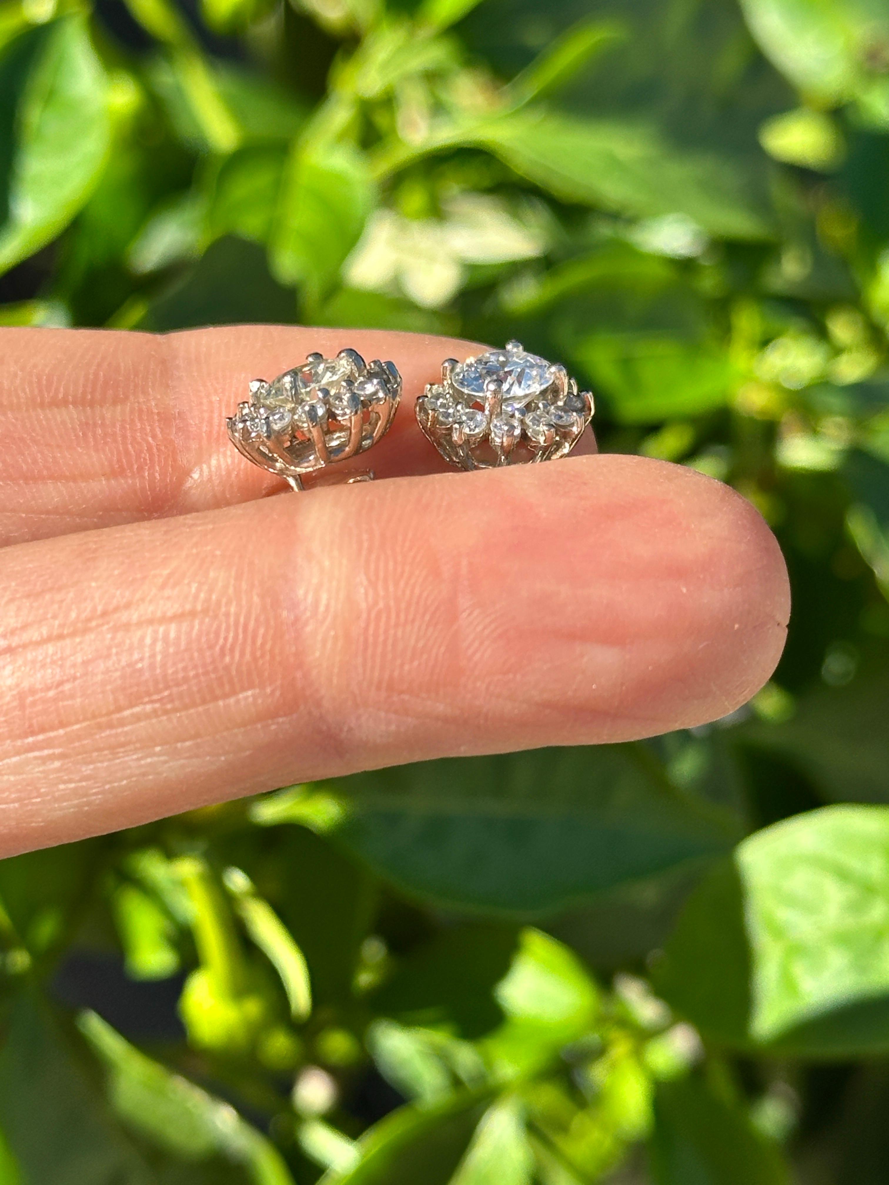 Boucles d'oreilles avec halo en diamant naturel de 2,50 carats et brillant, 14 carats en vente 1