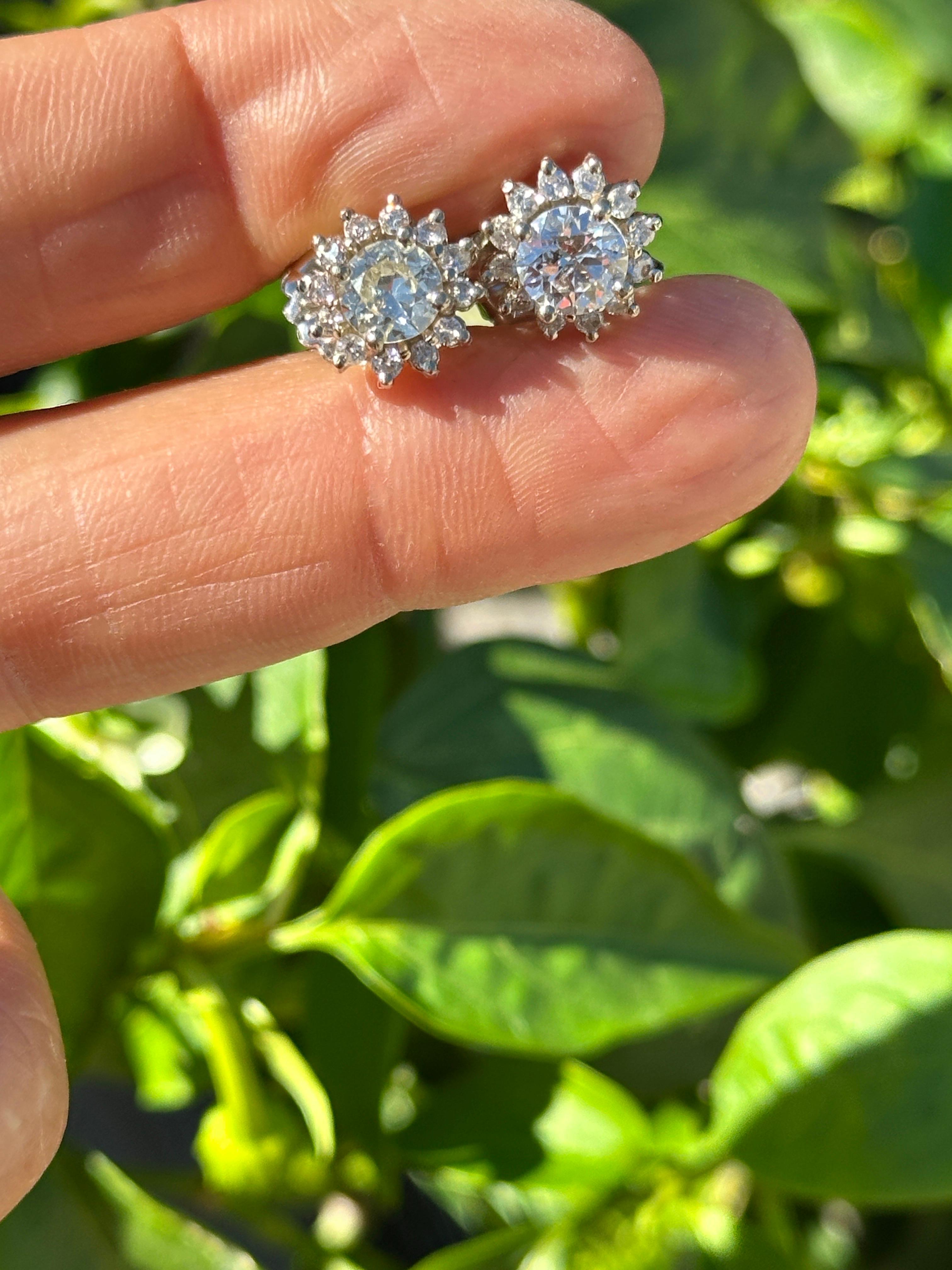 Boucles d'oreilles avec halo en diamant naturel de 2,50 carats et brillant, 14 carats en vente 3