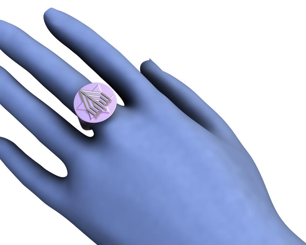 14 Karat Rosa und 14 Karat Weißgold Judaica Kunst Siegelring () 5
