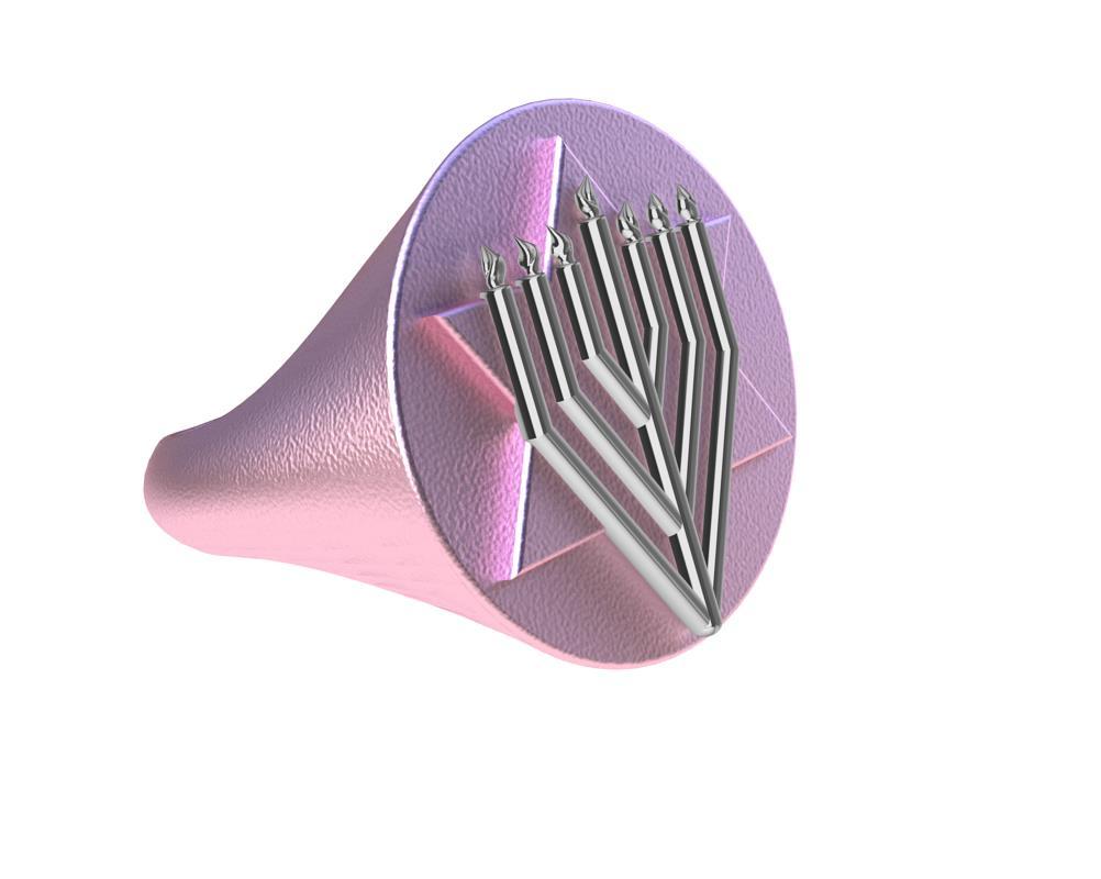 14 Karat Rosa und 14 Karat Weißgold Judaica Kunst Siegelring () 6